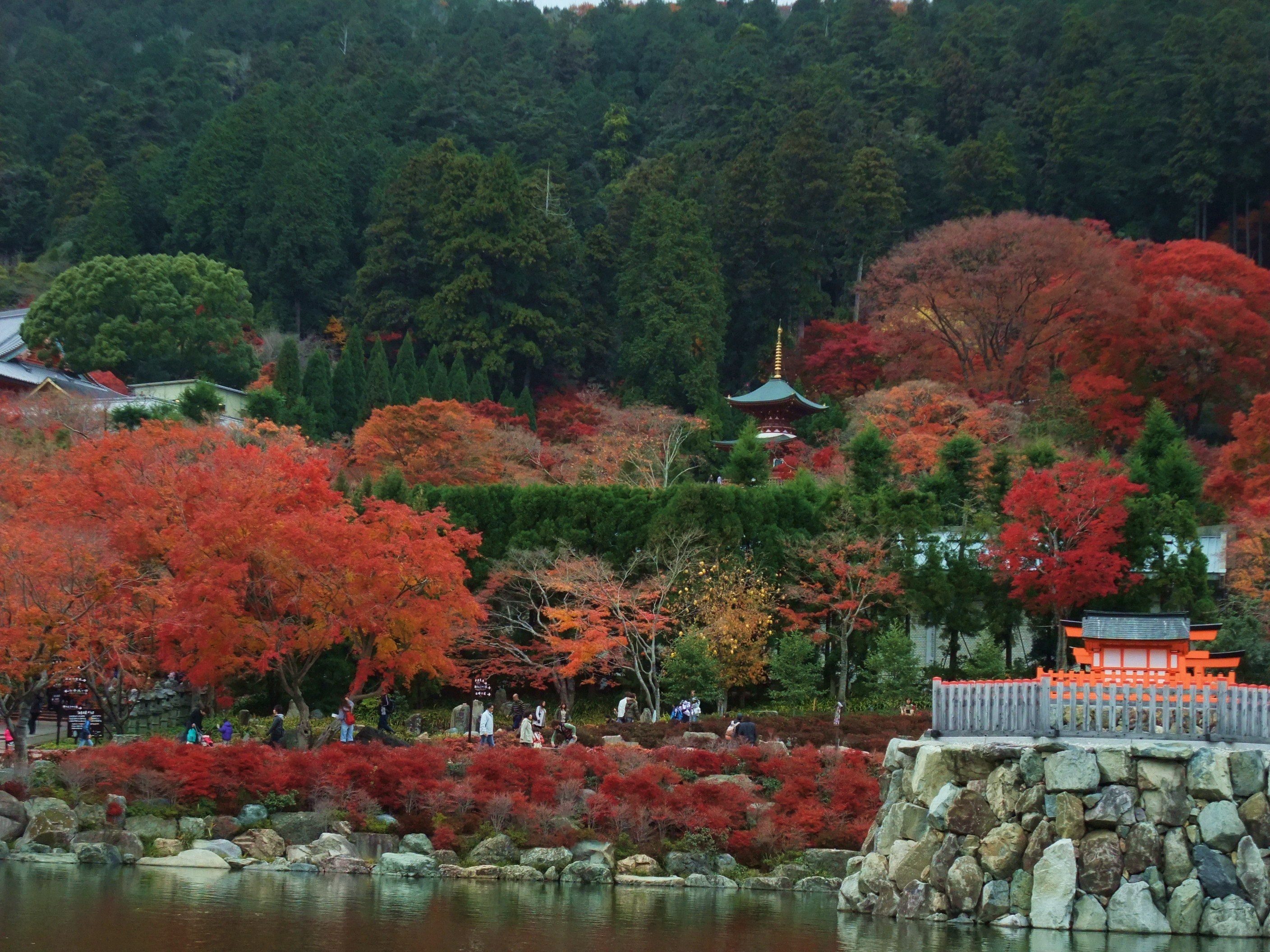 紅葉が見頃の勝尾寺へ 箕面へ紅葉狩りへ ２ 大阪の旅行記 ブログ By まひなさん フォートラベル