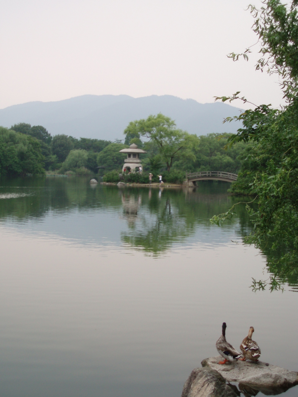 ホタルに会いに行こう ２００９ 米原市山東町 米原 滋賀県 の旅行記 ブログ By オッチャングムさん フォートラベル