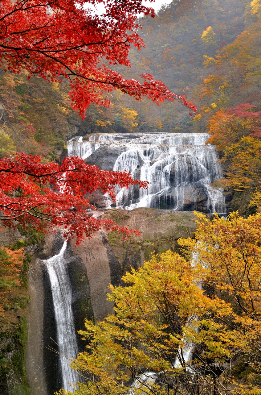 日本三名瀑に数えらる茨城県大子町の袋田の滝の紅葉 2010 大子 袋田温泉 茨城県 の旅行記 ブログ By Medinaさん フォートラベル 日本三名瀑に数えらる茨城県大子町の袋田の滝の紅葉 2010 大子 袋田温泉 茨城県 の旅行記 ブログ By Medinaさん フォートラベル