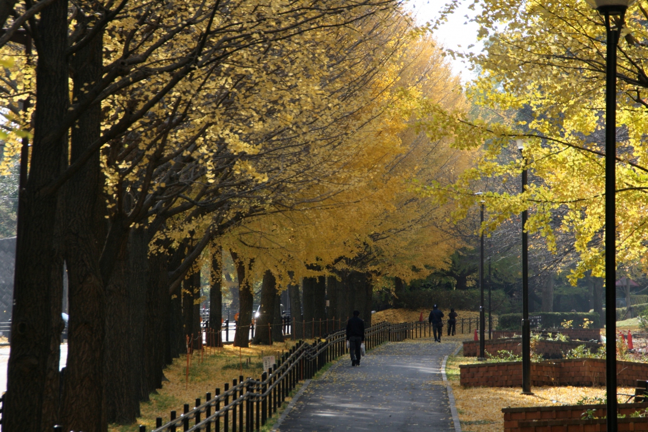 県立保土ヶ谷公園 紅葉が綺麗な晩秋 12月 10 東神奈川 保土ヶ谷 弘明寺 神奈川県 の旅行記 ブログ By Rockyさん フォートラベル 県立保土ヶ谷公園 紅葉が綺麗な晩秋 12月 10 東神奈川 保土ヶ谷 弘明寺 神奈川県 の旅行記 ブログ By Rockyさん フォートラベル