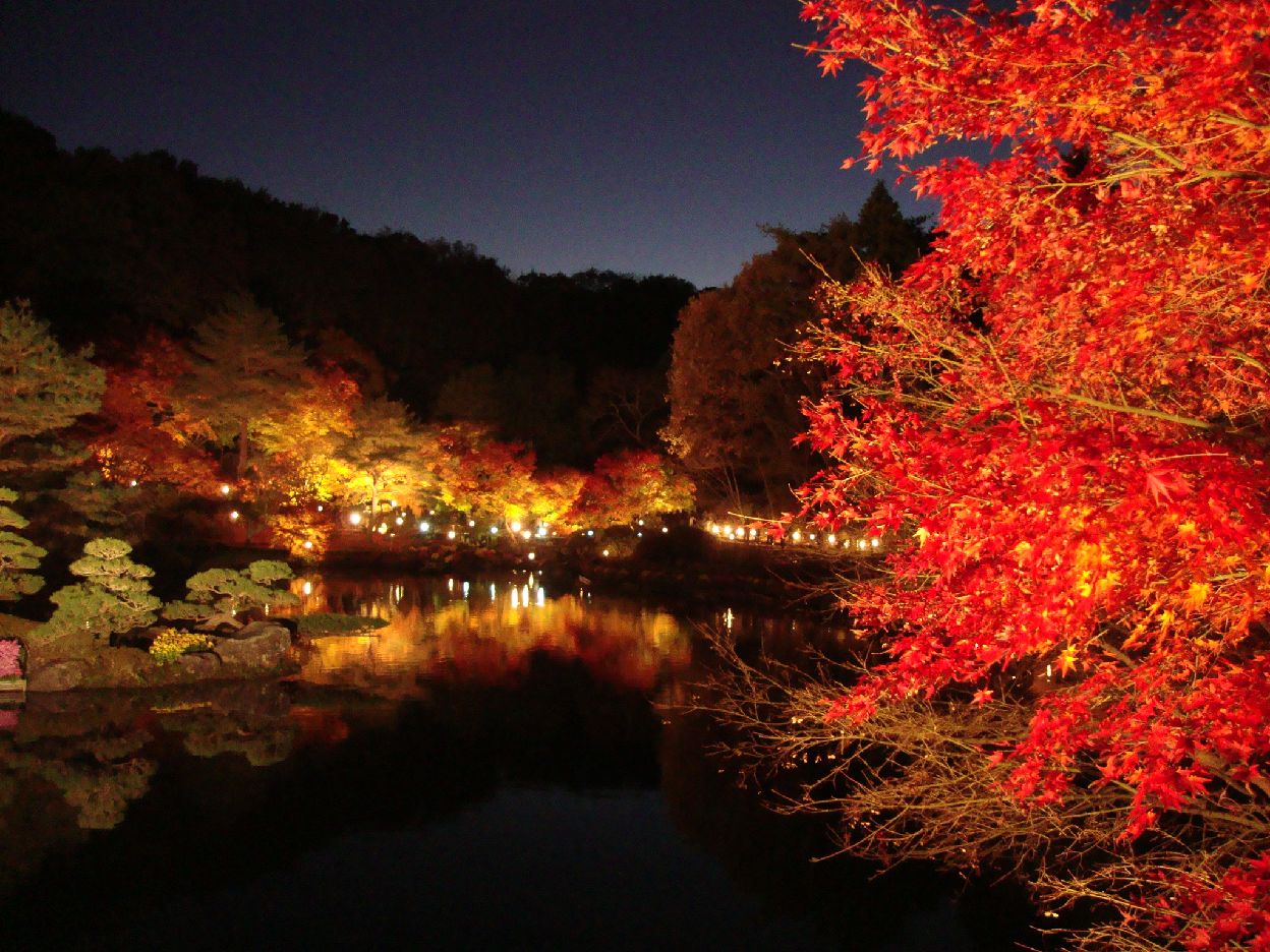 伊豆の小京都 修善寺 虹の郷の紅葉ライトアップ 修善寺温泉 静岡県 の旅行記 ブログ By Gizumoさん フォートラベル 伊豆の小京都 修善寺 虹の郷の紅葉ライトアップ 修善寺温泉 静岡県 の旅行記 ブログ By Gizumoさん フォートラベル