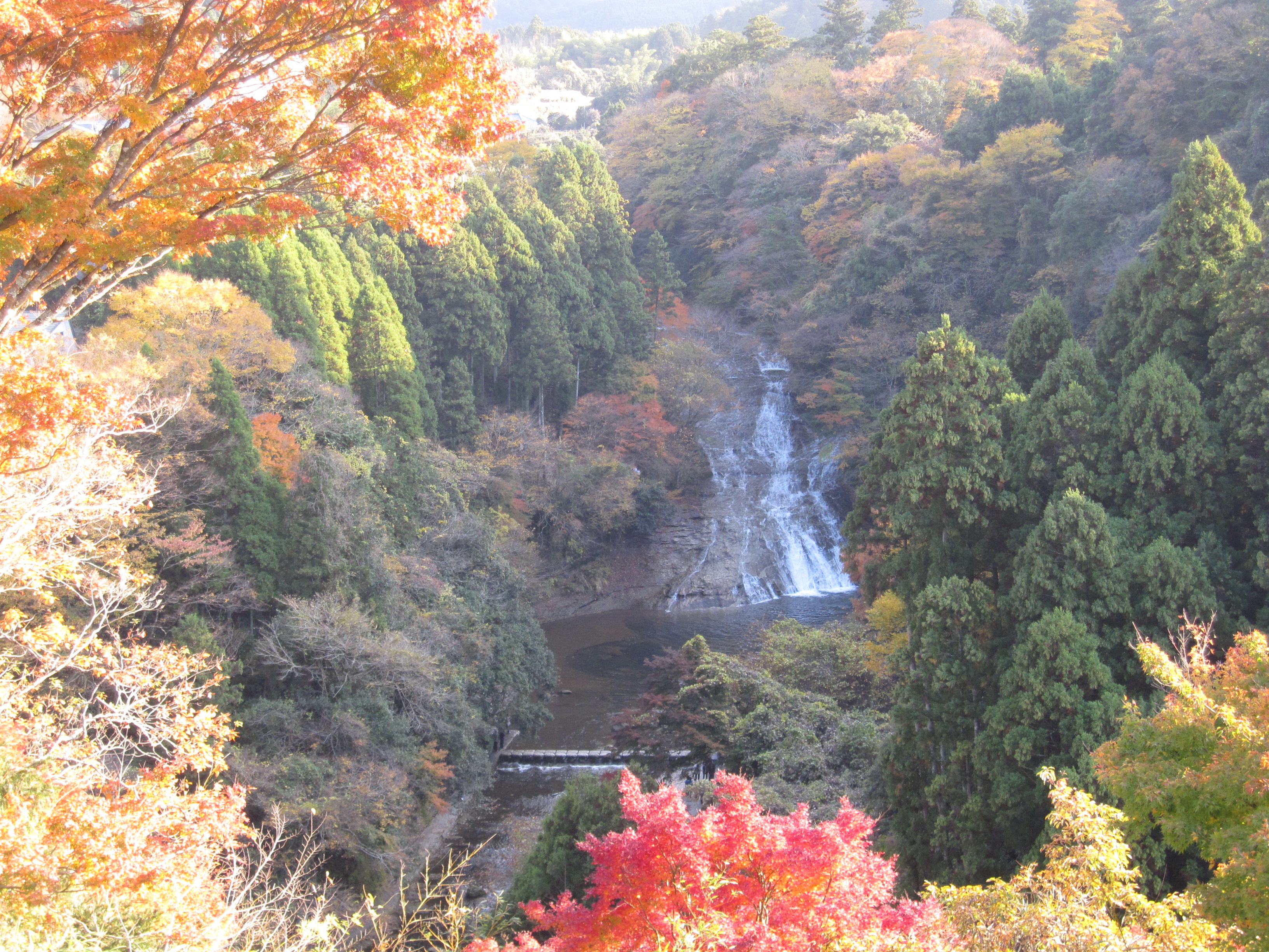 養老渓谷で紅葉を楽しむ １ 養老渓谷散策 前半 養老渓谷 千葉県 の旅行記 ブログ By 五黄の寅さん フォートラベル