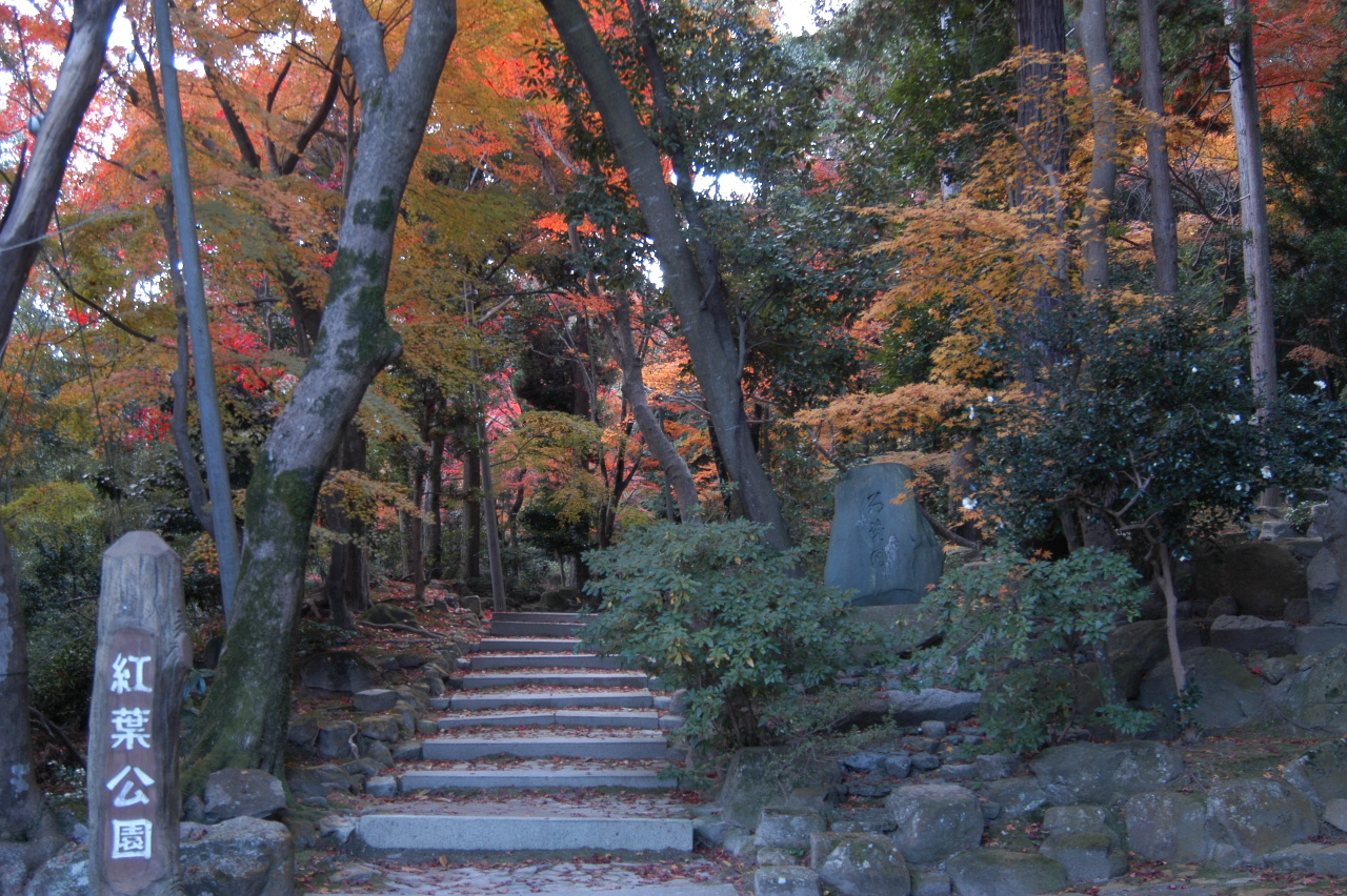 滋賀県 紅葉公園 東本誓寺の紅葉 湖東三山 多賀 東近江 滋賀県 の旅行記 ブログ By Punchmsさん フォートラベル