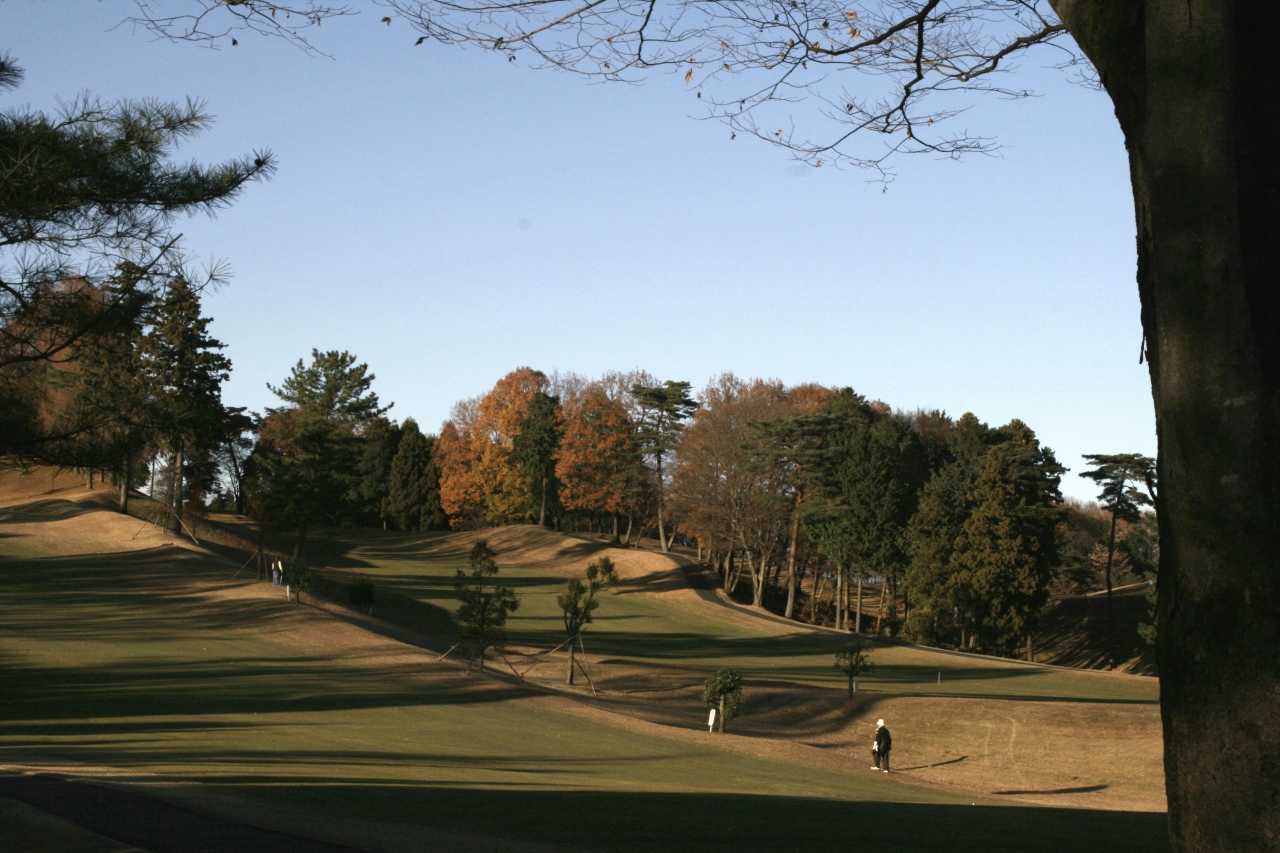 Pgm皐月ゴルフ倶楽部 鹿沼コース 晩秋12月 10 鹿沼 栃木県 の旅行記 ブログ By Rockyさん フォートラベル