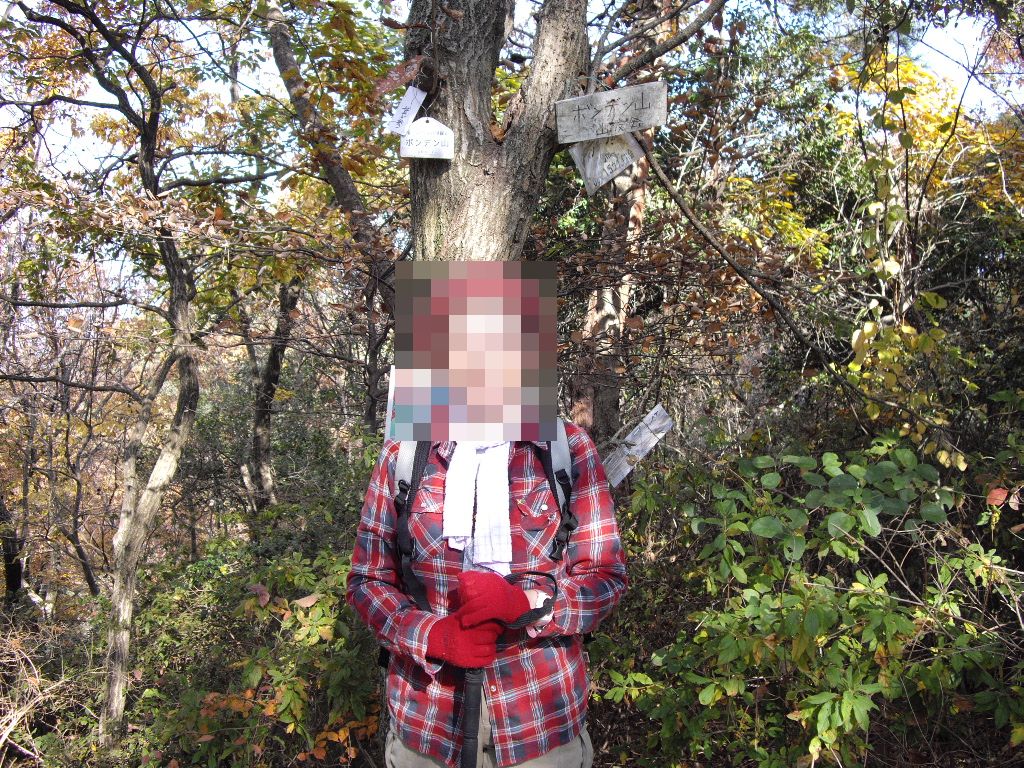 2年ぶりの 山登り 岩出 紀の川 和歌山県 の旅行記 ブログ By 気楽トンボさん フォートラベル 2年ぶりの 山登り 岩出 紀の川 和歌山県 の旅行記 ブログ By 気楽トンボさん フォートラベル