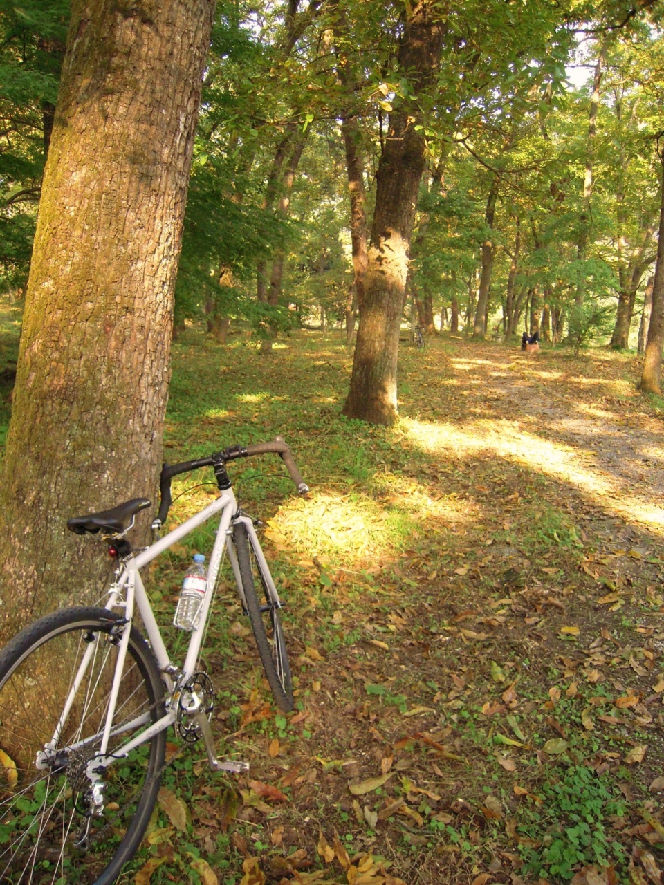 埼玉/秋の秩父路サイクリング50km一本勝負！【三峰口～長瀞～寄居 
