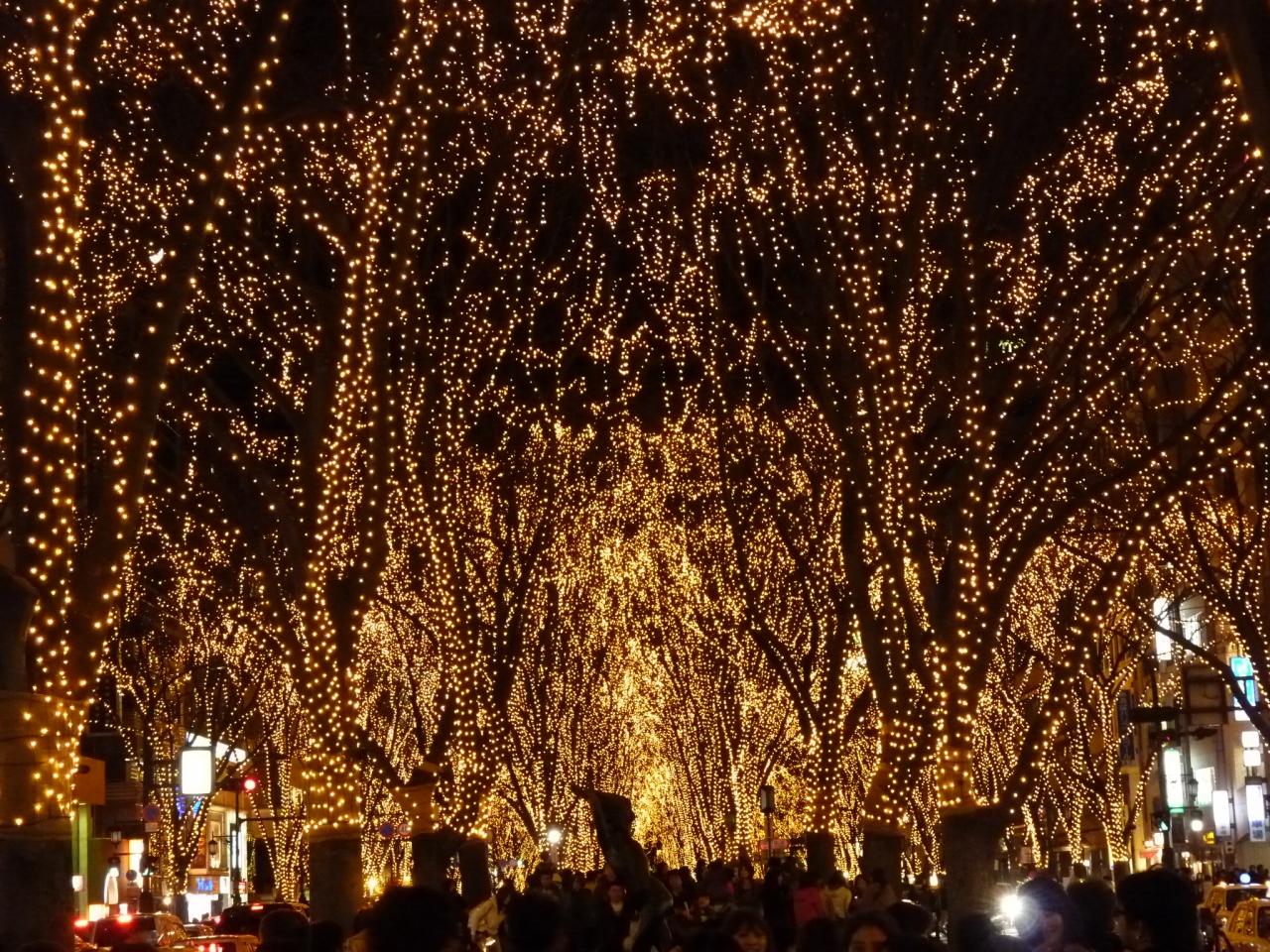 10 仙台光のページェント 想像以上に綺麗なイルミネーション と仙台周辺 仙台 宮城県 の旅行記 ブログ By もりおんさん フォートラベル
