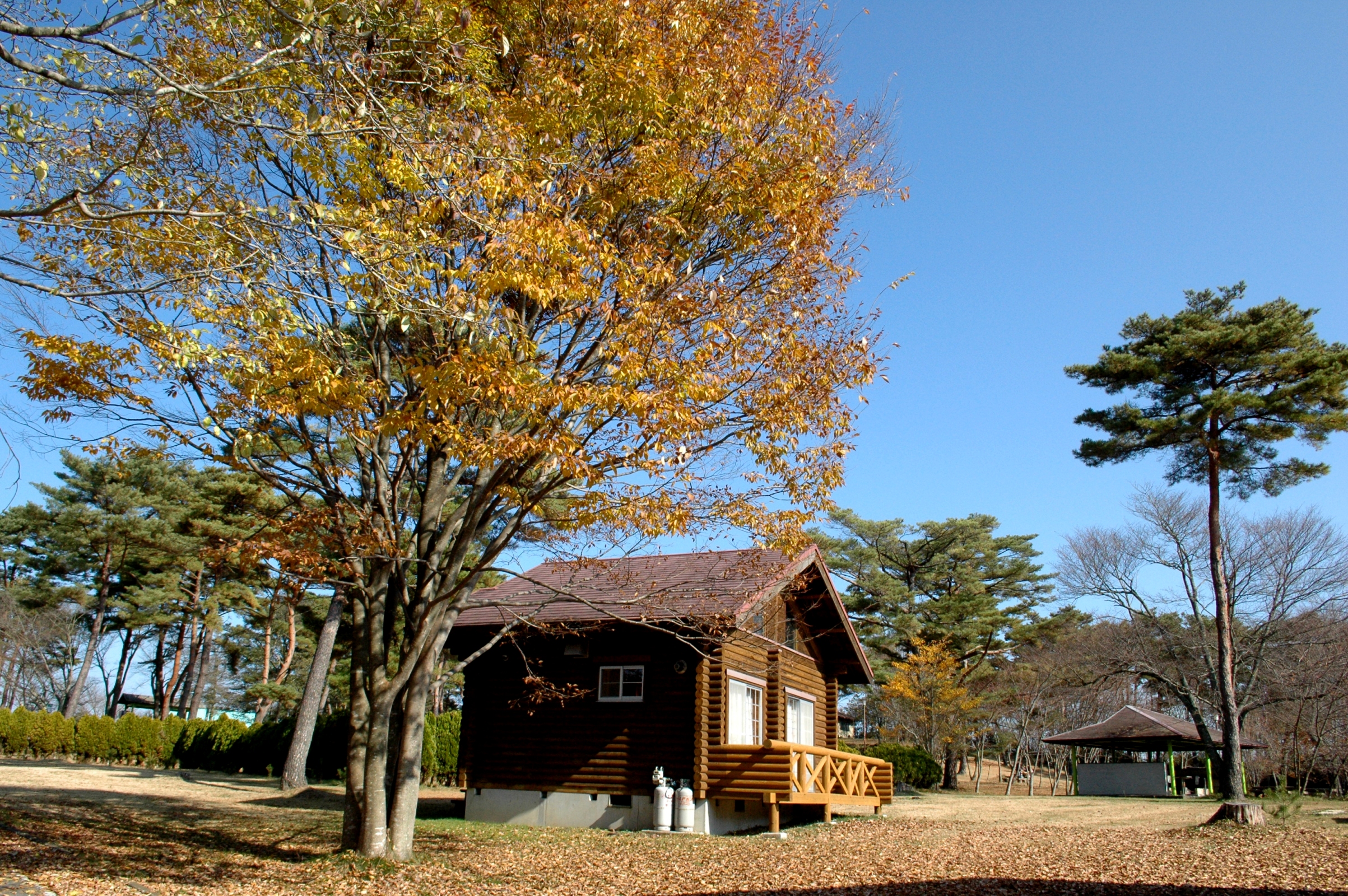 広島 備後の旅 その１ 神石高原町で寺社巡り 仙養ヶ原キャンプ場でバーベキュー 帝釈峡 比婆山 神石高原 広島県 の旅行記 ブログ By 旅まくり三助さん フォートラベル