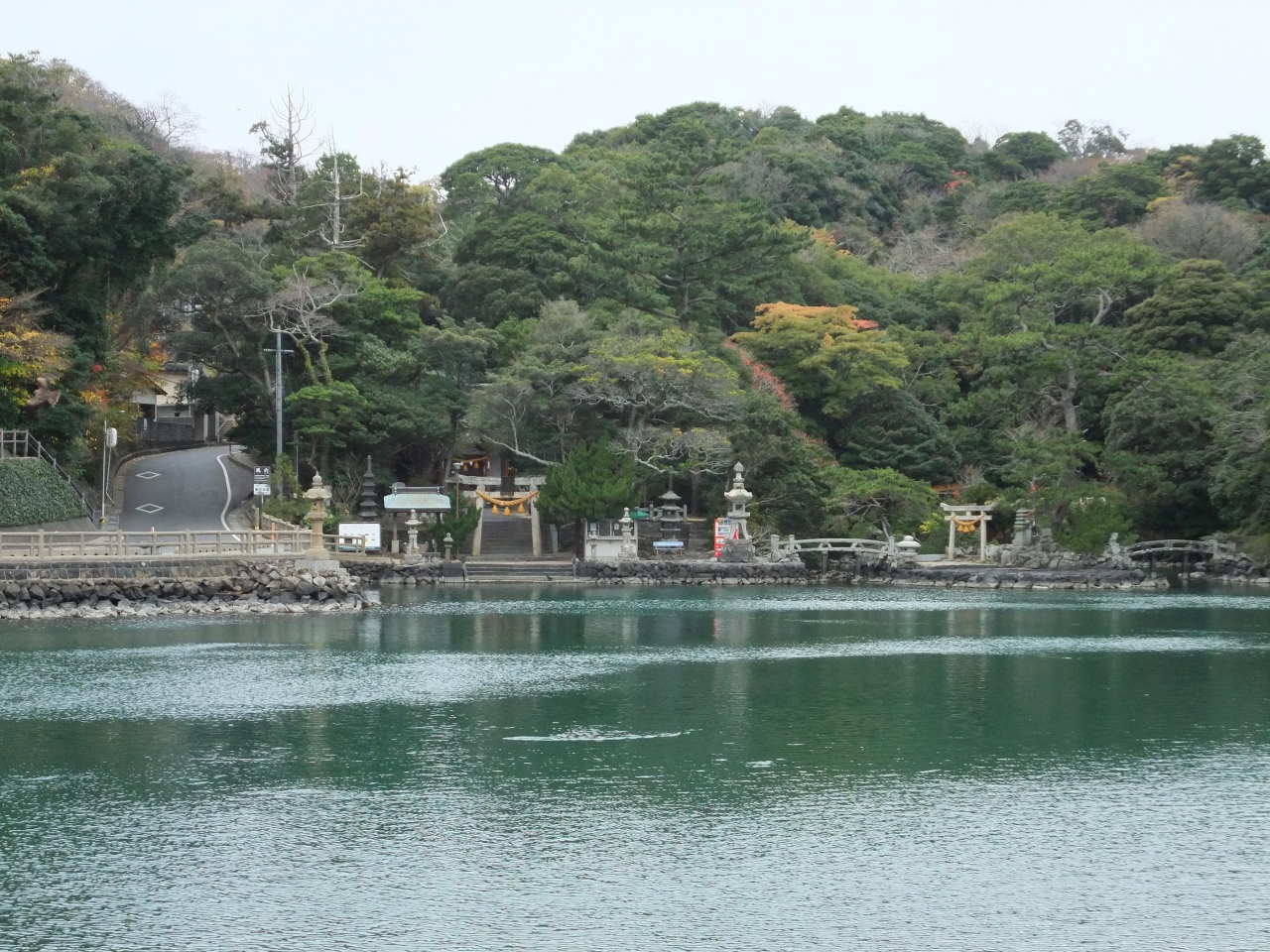 萩 明神池 みょうじん いけ 国指定天然記念物 萩 山口県 の旅行記 ブログ By キャンモアさん フォートラベル 萩 明神池 みょうじん いけ 国指定天然記念物 萩 山口県 の旅行記 ブログ By キャンモアさん フォートラベル