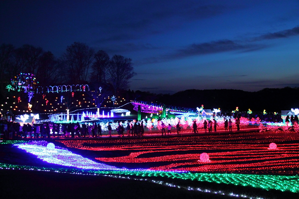 絶景 冬のイルミネーション 東京ドイツ村 袖ヶ浦 千葉県 の旅行記 ブログ By じゅうべいさん フォートラベル