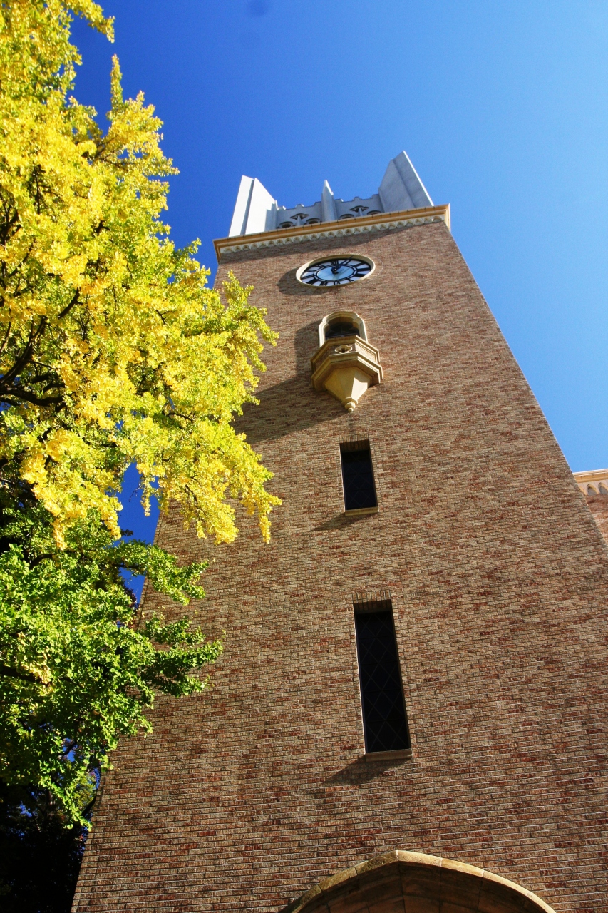 大学キャンパス訪問記 ー 早稲田大学の巻 早稲田 高田馬場 東京 の旅行記 ブログ By Tamegaiさん フォートラベル 大学キャンパス訪問記 ー 早稲田大学の巻 早稲田 高田馬場 東京 の旅行記 ブログ By Tamegaiさん フォートラベル
