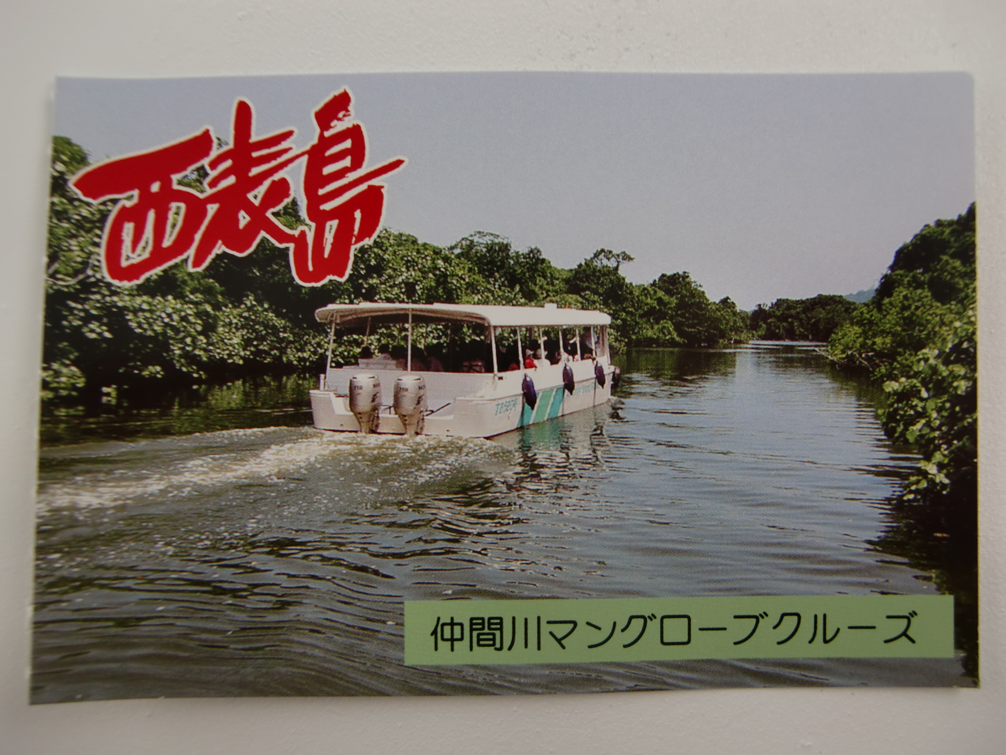 Jgc修行7回目 3 西表島 仲間川クルーズ 西表島 沖縄県 の旅行記 ブログ By まささん フォートラベル