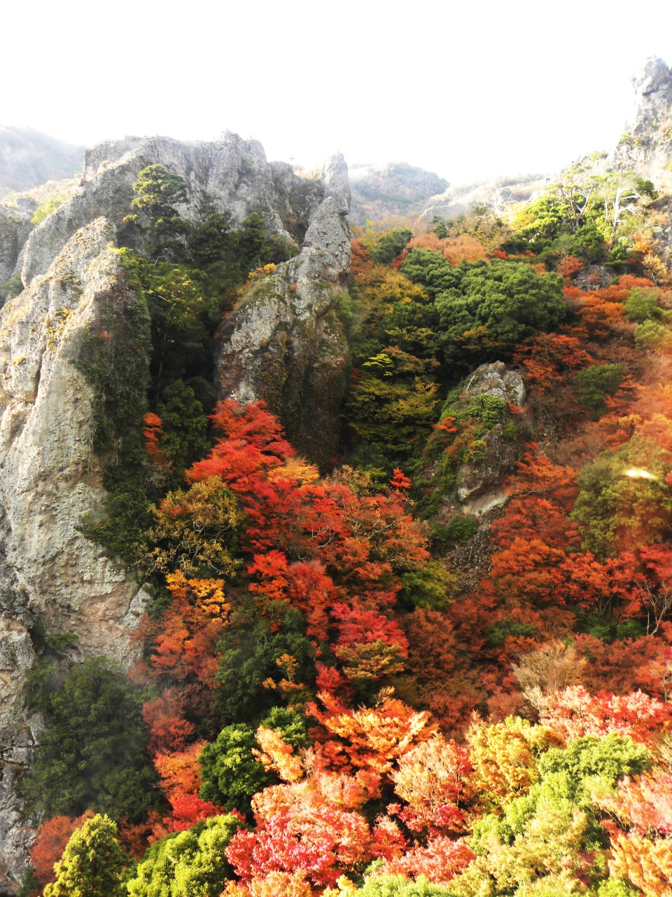 秋の小豆島 寒霞渓絶景紅葉ロープウェイ 小豆島 香川県 の旅行記 ブログ By Hｕｕｍａさん フォートラベル