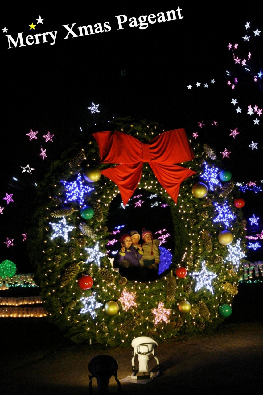 ひとり旅 7 Merry Xmas 花と光のページェント 広島市植物公園 Christmas Illumination 広島市佐伯区 広島 西 佐伯 広島県 の旅行記 ブログ By Mechagodzilla 703さん フォートラベル