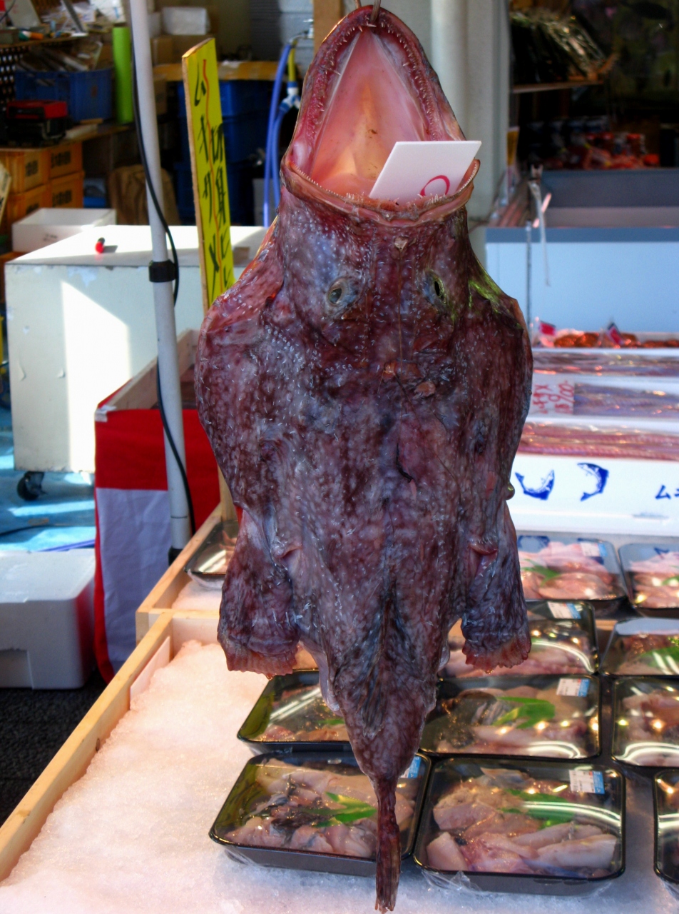 那珂湊おさかな市場の魚介 新鮮で安価 あんこう 吊るし切りも ひたちなか 茨城県 の旅行記 ブログ By マキタン２さん フォートラベル
