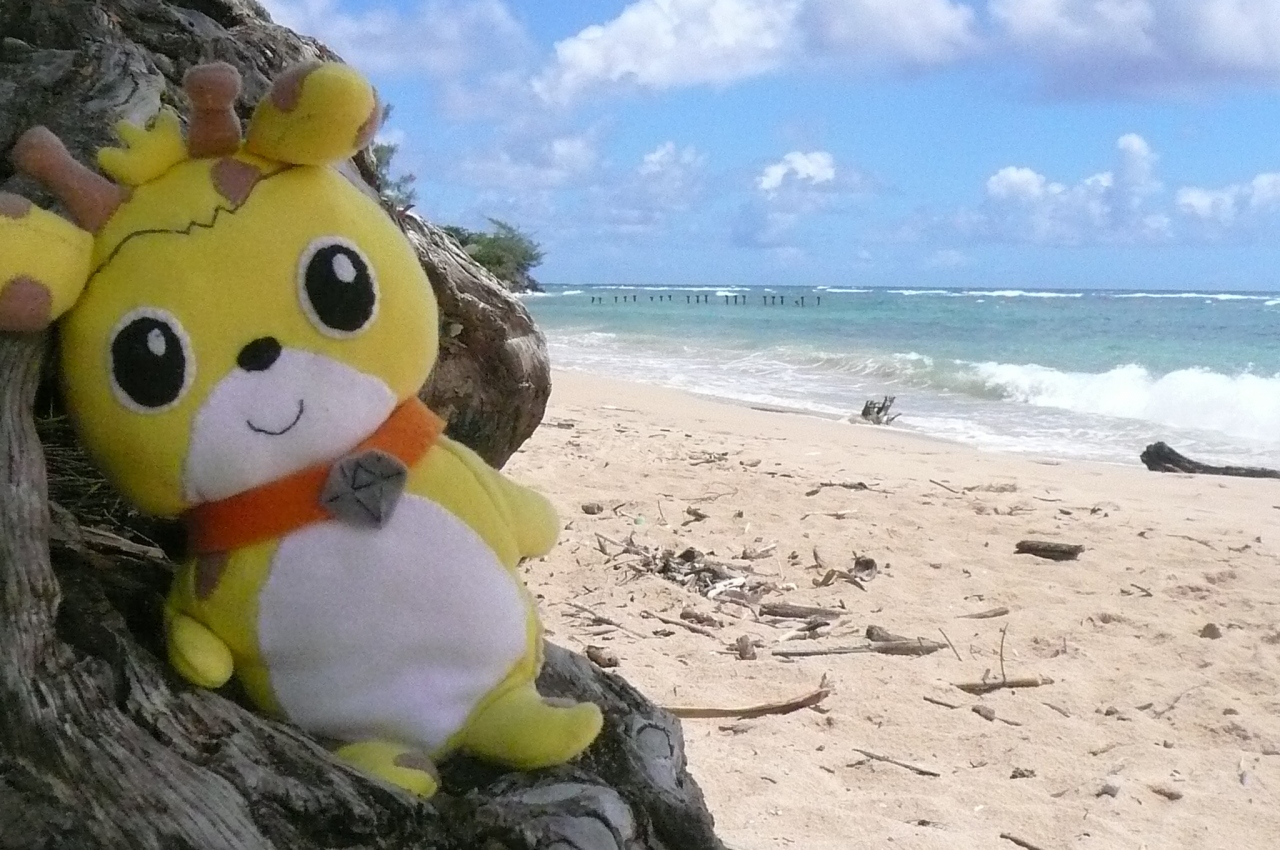 ボク いしきりん 常夏の島 ハワイに行ってきたよ 後編 ホノルル ハワイ の旅行記 ブログ By いしきりんさん フォートラベル