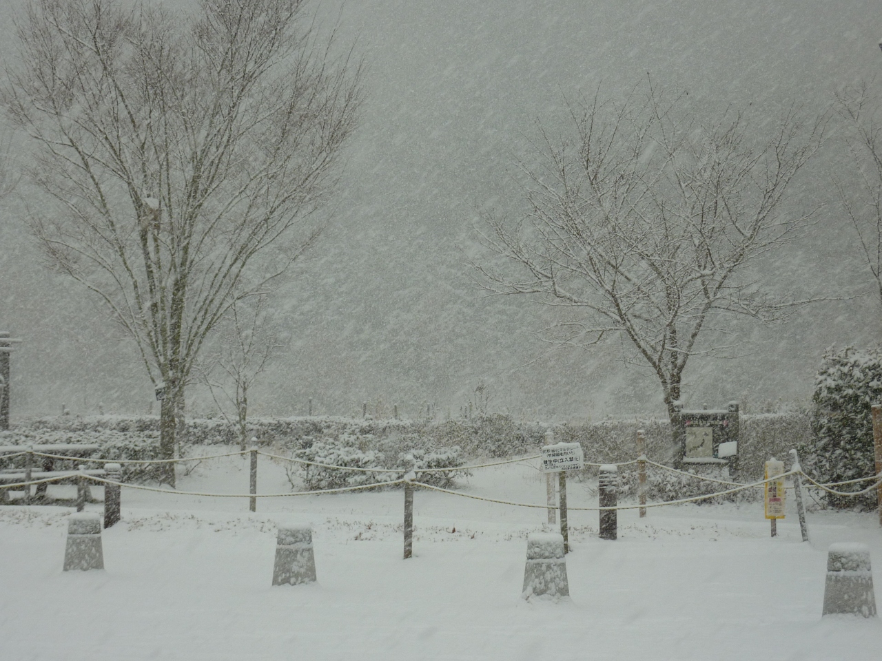 大雪の山陰で年越し 岩井温泉 岩井屋 道中編 浦富 岩井温泉 鳥取県 の旅行記 ブログ By ひろかなさん フォートラベル 大雪の山陰で年越し 岩井温泉 岩井屋 道中編 浦富 岩井温泉 鳥取県 の旅行記 ブログ By ひろかなさん フォートラベル