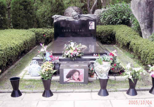 墓 Zard 坂井 泉水
