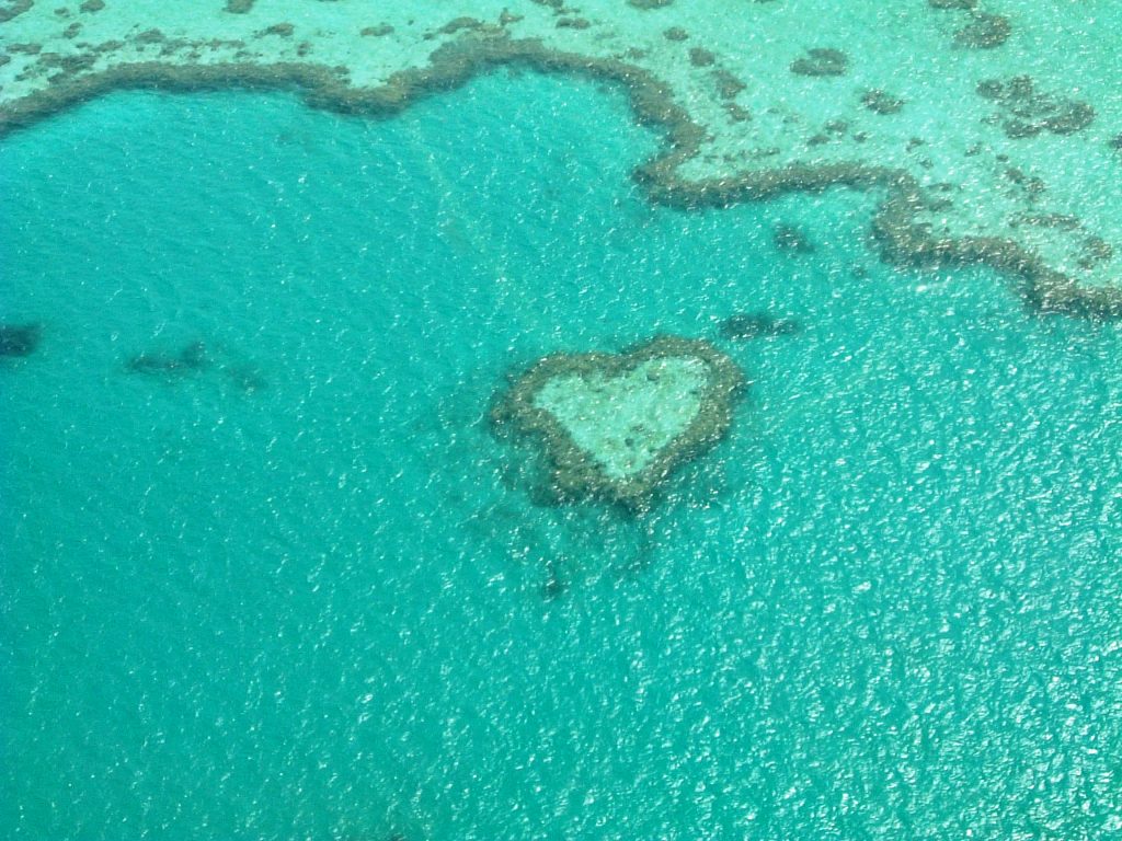 グレートバリアリーフを泳ぐ ハミルトン島 グレートバリアリーフ周辺 オーストラリア の旅行記 ブログ By りんごさん フォートラベル