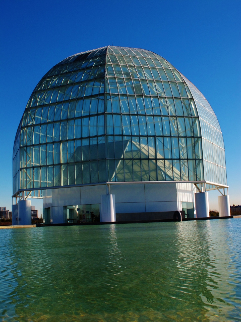 葛西臨海水族園 ガイドツアーに参加 珍しい生態に興味津々 葛西 東京 の旅行記 ブログ By マキタン２さん フォートラベル