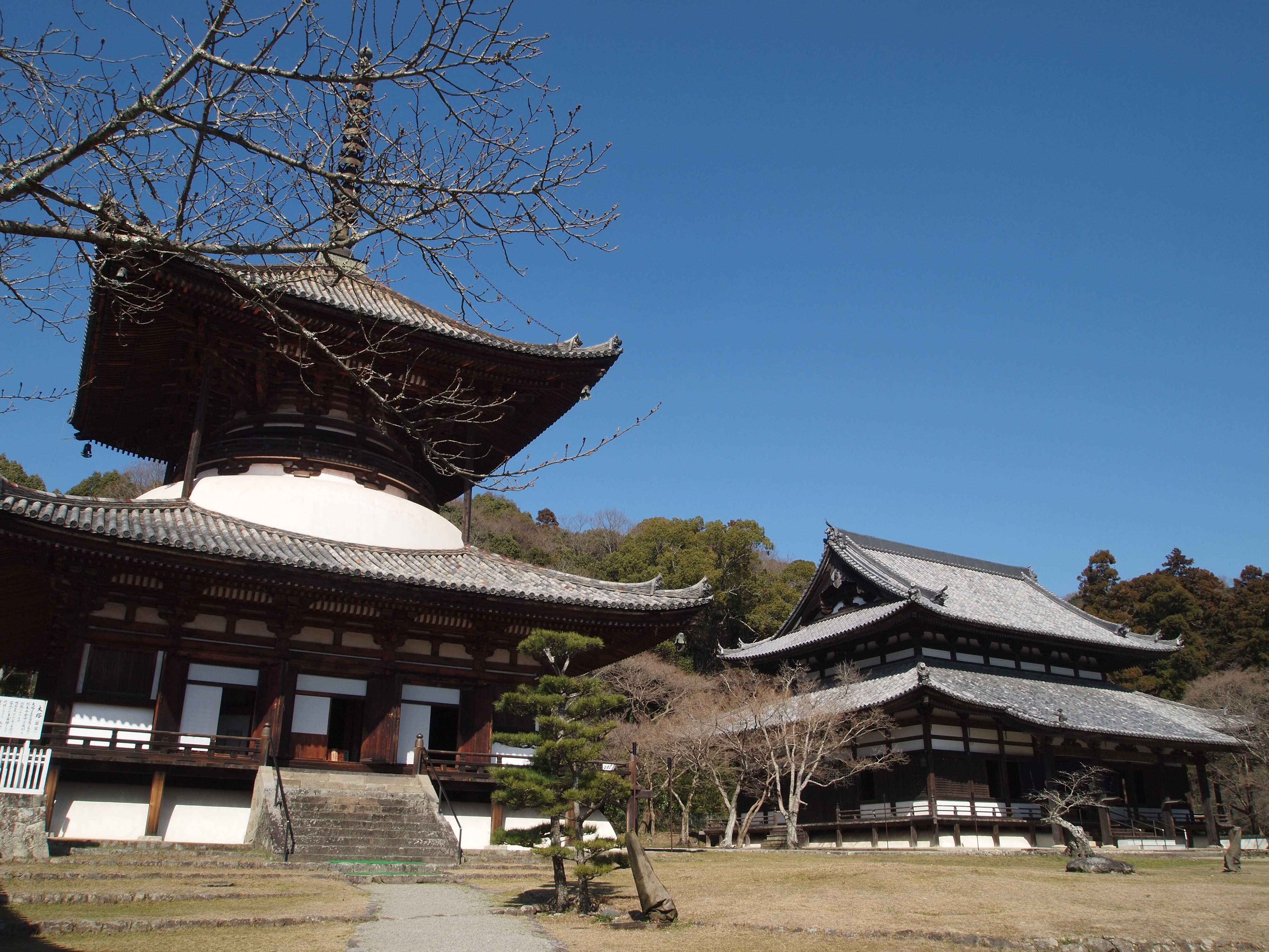 根来 寺