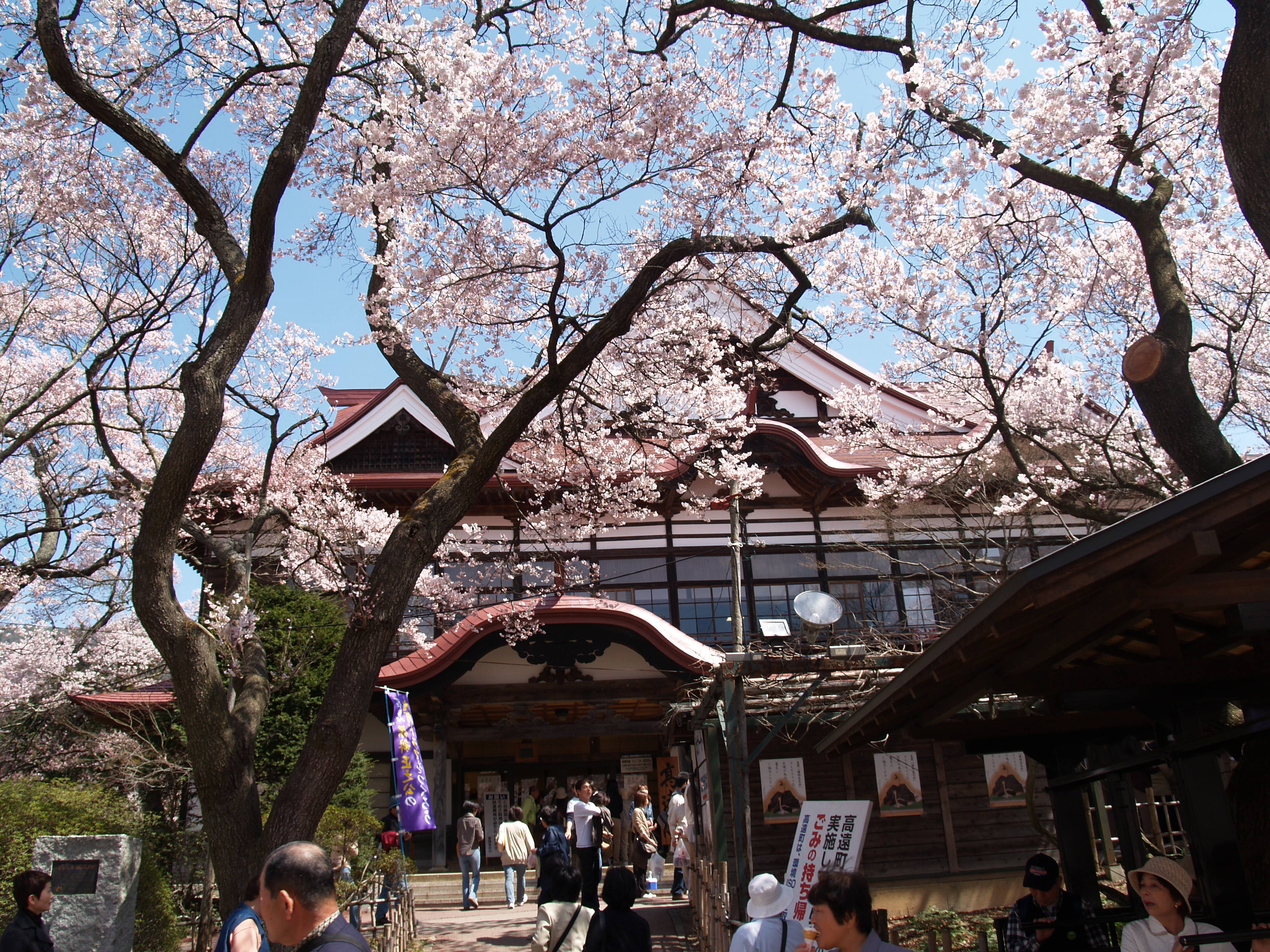 高遠城址公園の桜 伊那 長野県 の旅行記 ブログ By ドクターキムルさん フォートラベル 高遠城址公園の桜 伊那 長野県 の旅行記 ブログ By ドクターキムルさん フォートラベル