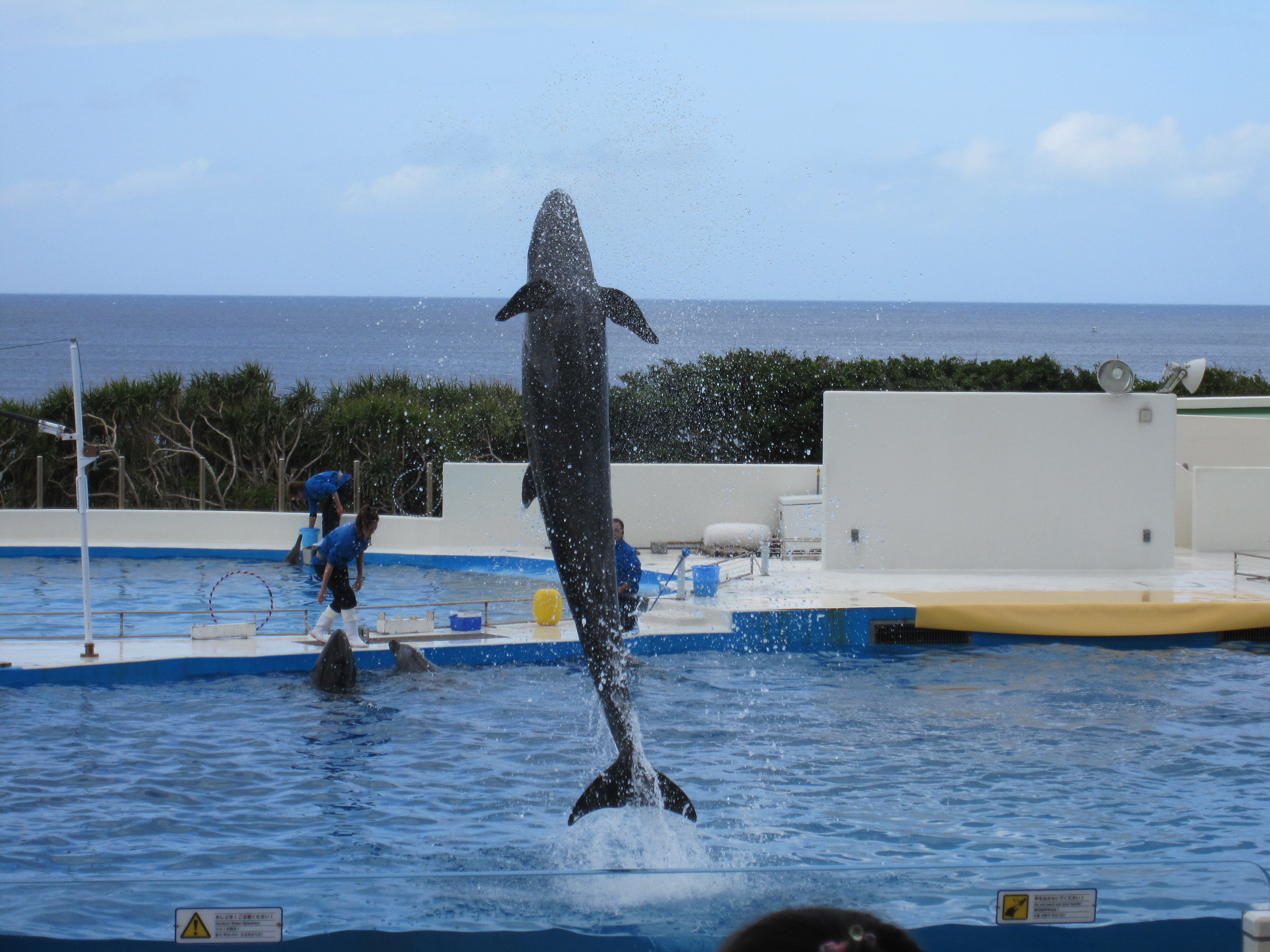 子連れ沖縄 ２ 本島北部 沖縄県の旅行記 ブログ By ムツミさん フォートラベル