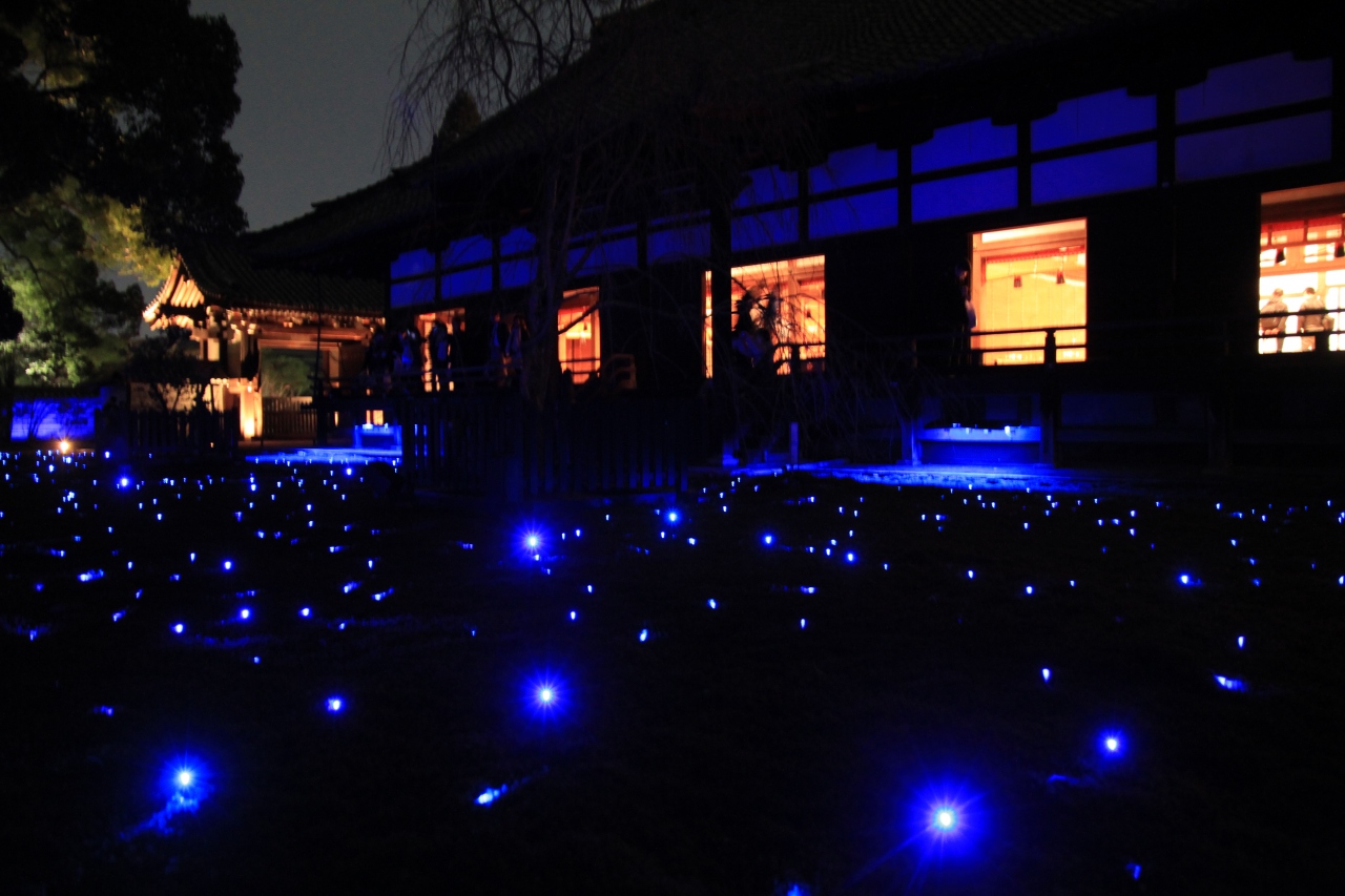 東山祈りの灯り 青蓮院門跡ライトアップ 二条 烏丸 河原町 京都 の旅行記 ブログ By みにくまさん フォートラベル