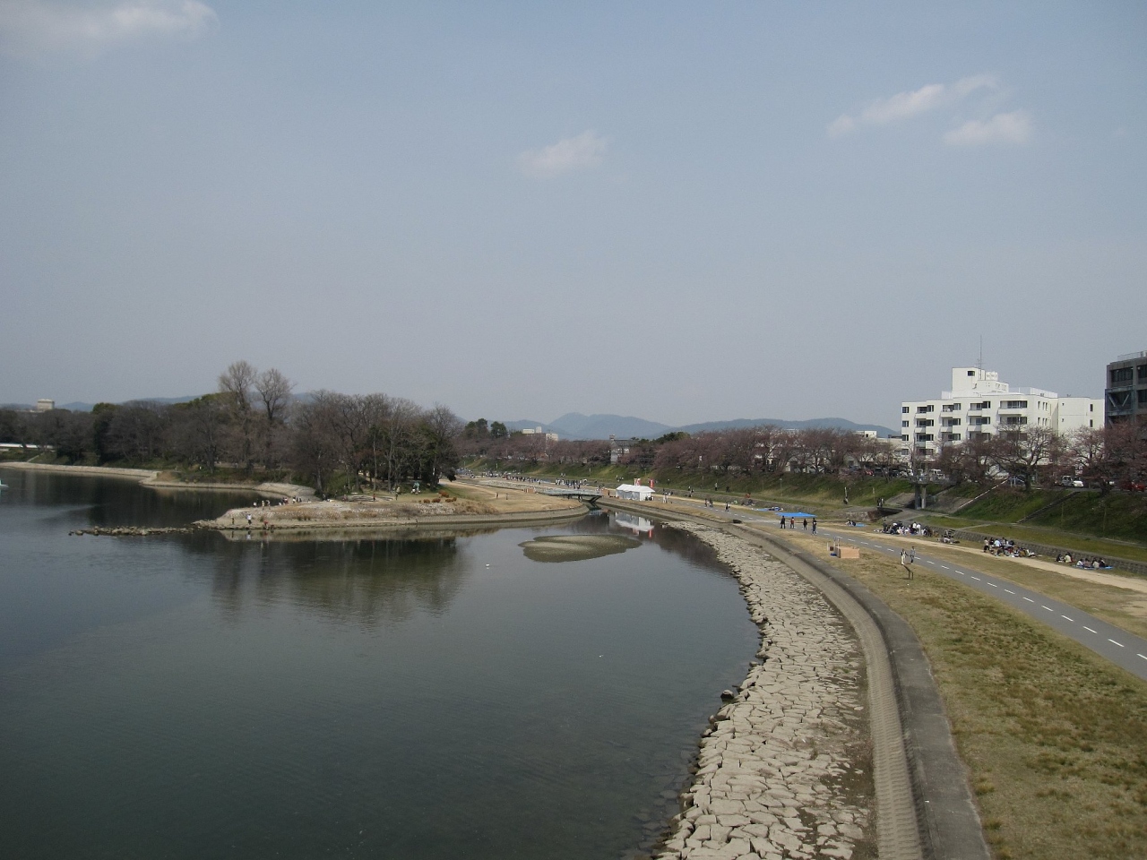 11春 旭川さくらみち 岡山桜情報 4 岡山市 岡山県 の旅行記 ブログ By Saraさん フォートラベル