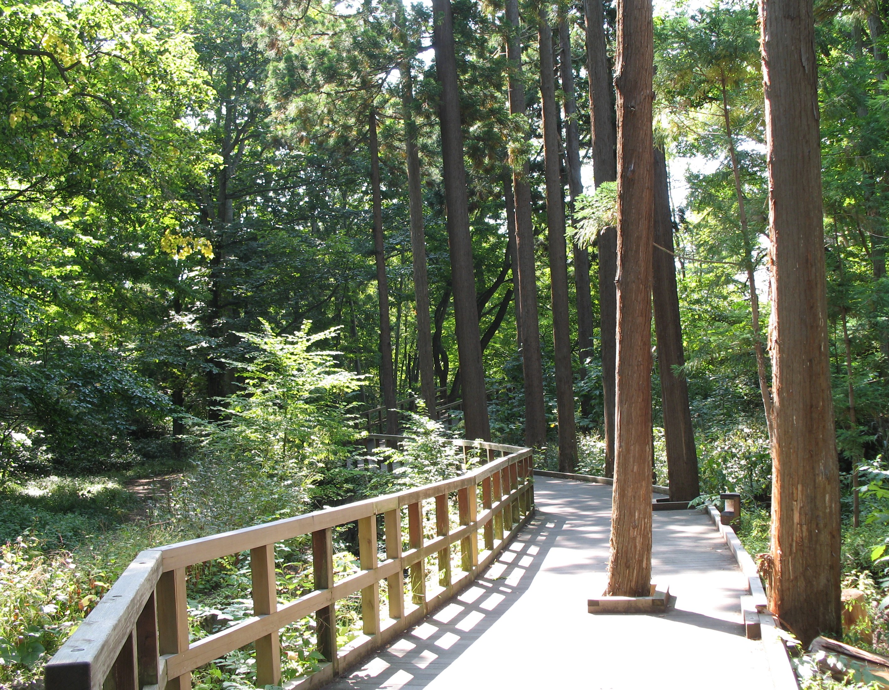 札幌市内周遊 ２ 円山公園 琴似 発寒中央 北海道 の旅行記 ブログ By 五黄の寅さん フォートラベル