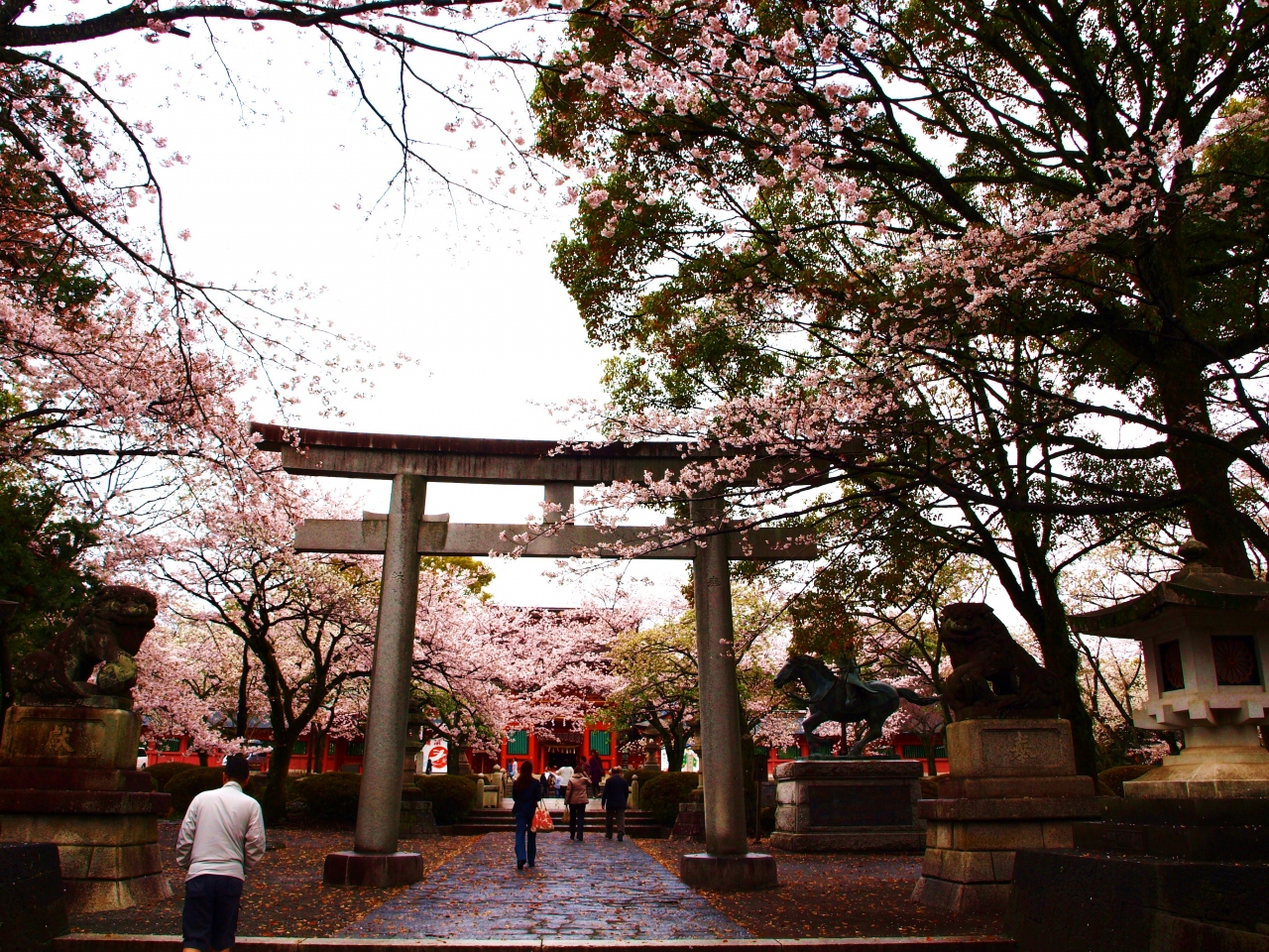 桜の富士宮 静岡 白糸の滝と本宮浅間神社と登呂遺跡 静岡県の旅行記 ブログ By こめさん フォートラベル