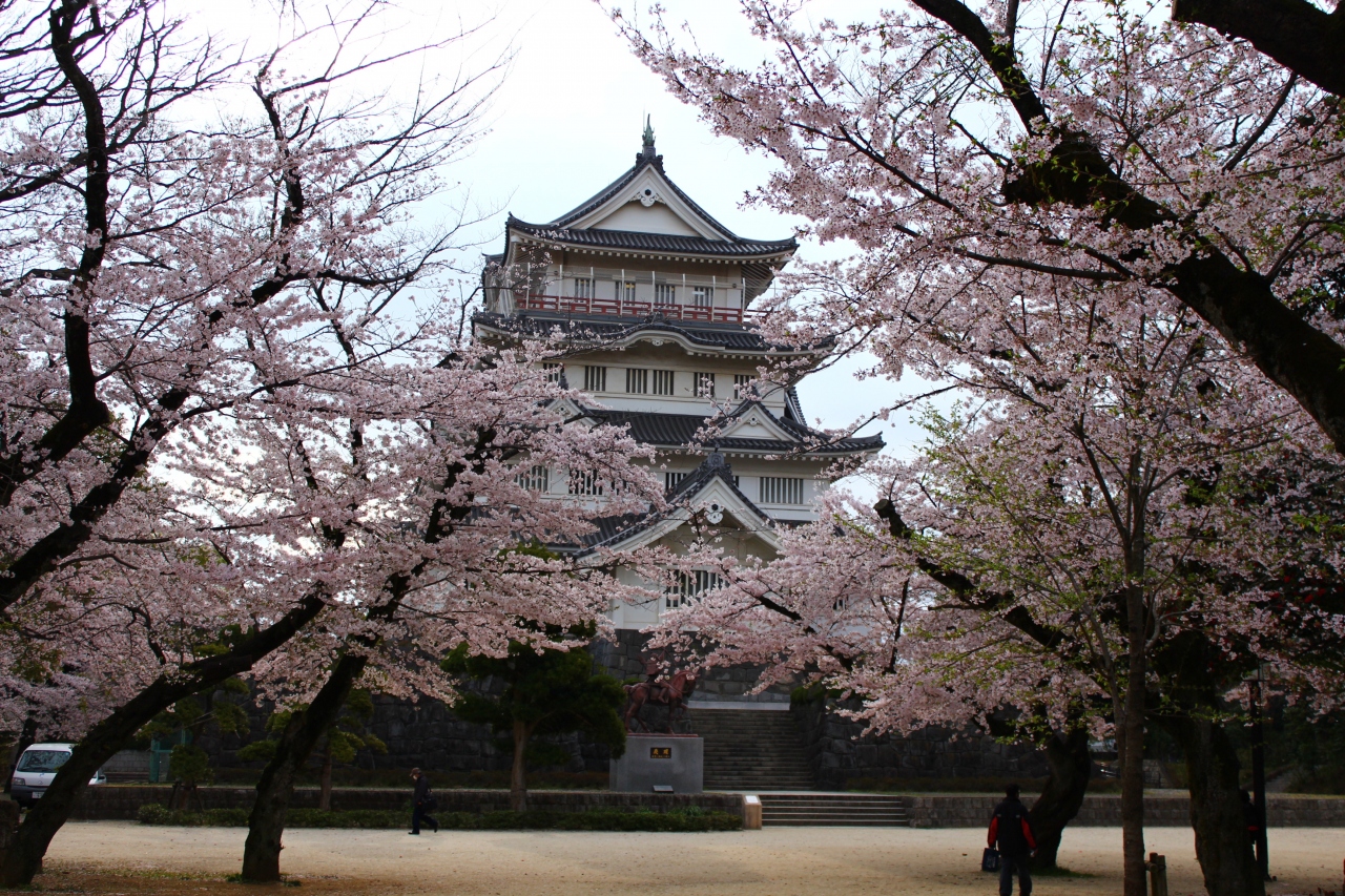 千葉市ぐるり旅 11 満開に咲き誇る桜 千葉城 亥鼻公園 千葉市 千葉県 の旅行記 ブログ By でかドラさん フォートラベル