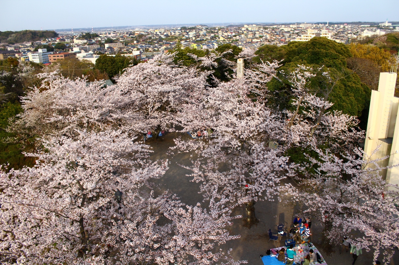 市原 木更津ぐるり旅 2 きみさらずタワーから見る桜 太田山公園 袖ヶ浦 千葉県 の旅行記 ブログ By でかドラさん フォートラベル