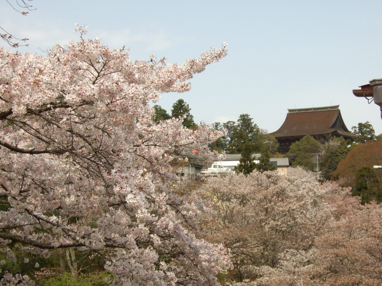 桜満開の京都 吉野 近江八幡を満喫 ２ 吉野山を登る 西行庵 奥 上 中 下千本 前編 吉野 奈良県 の旅行記 ブログ By 白麟さん フォートラベル