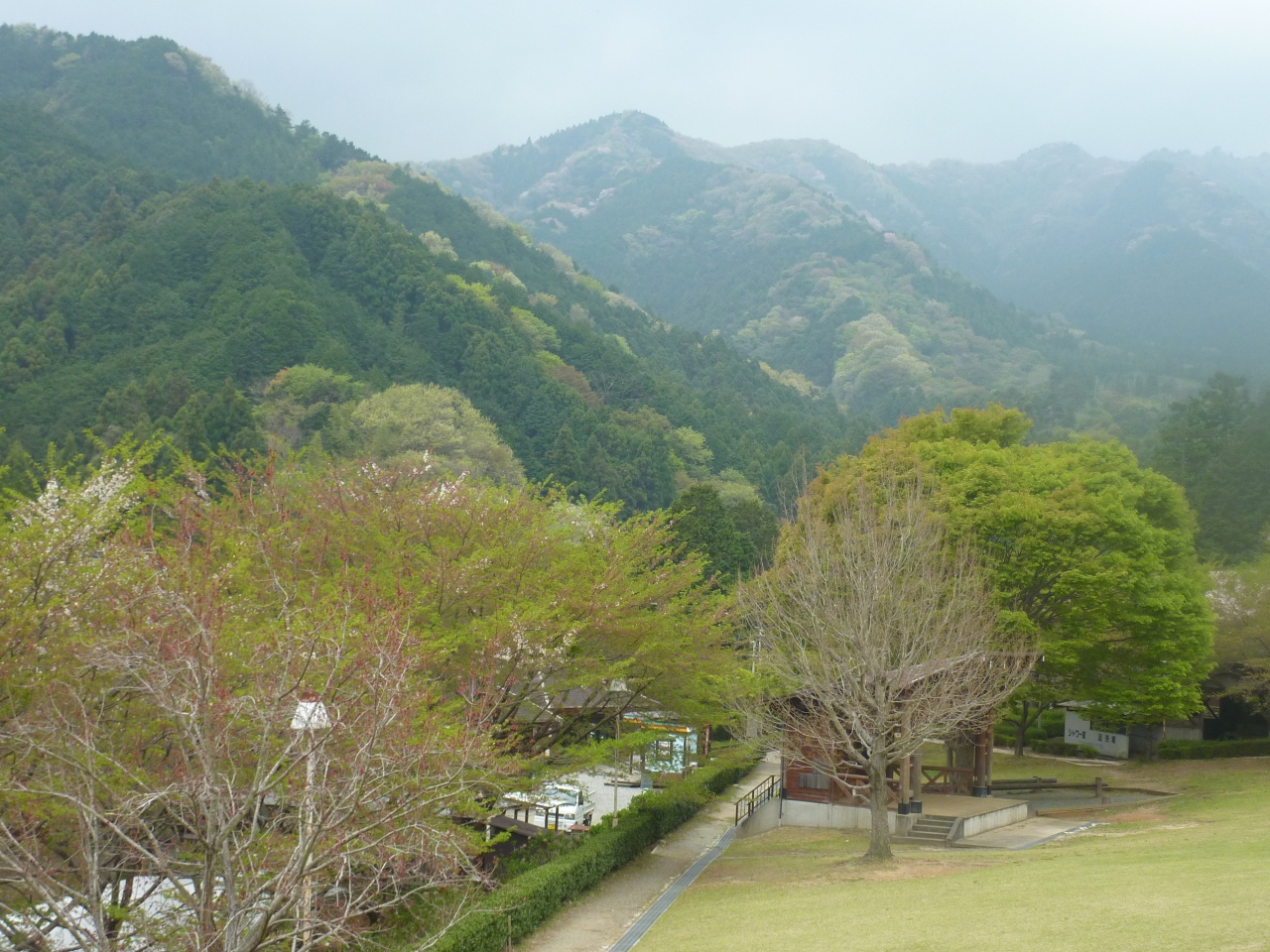 ヒカゲツツジ咲く堀坂山 観音岳を登る 松阪 三重県 の旅行記 ブログ By みちるさん フォートラベル