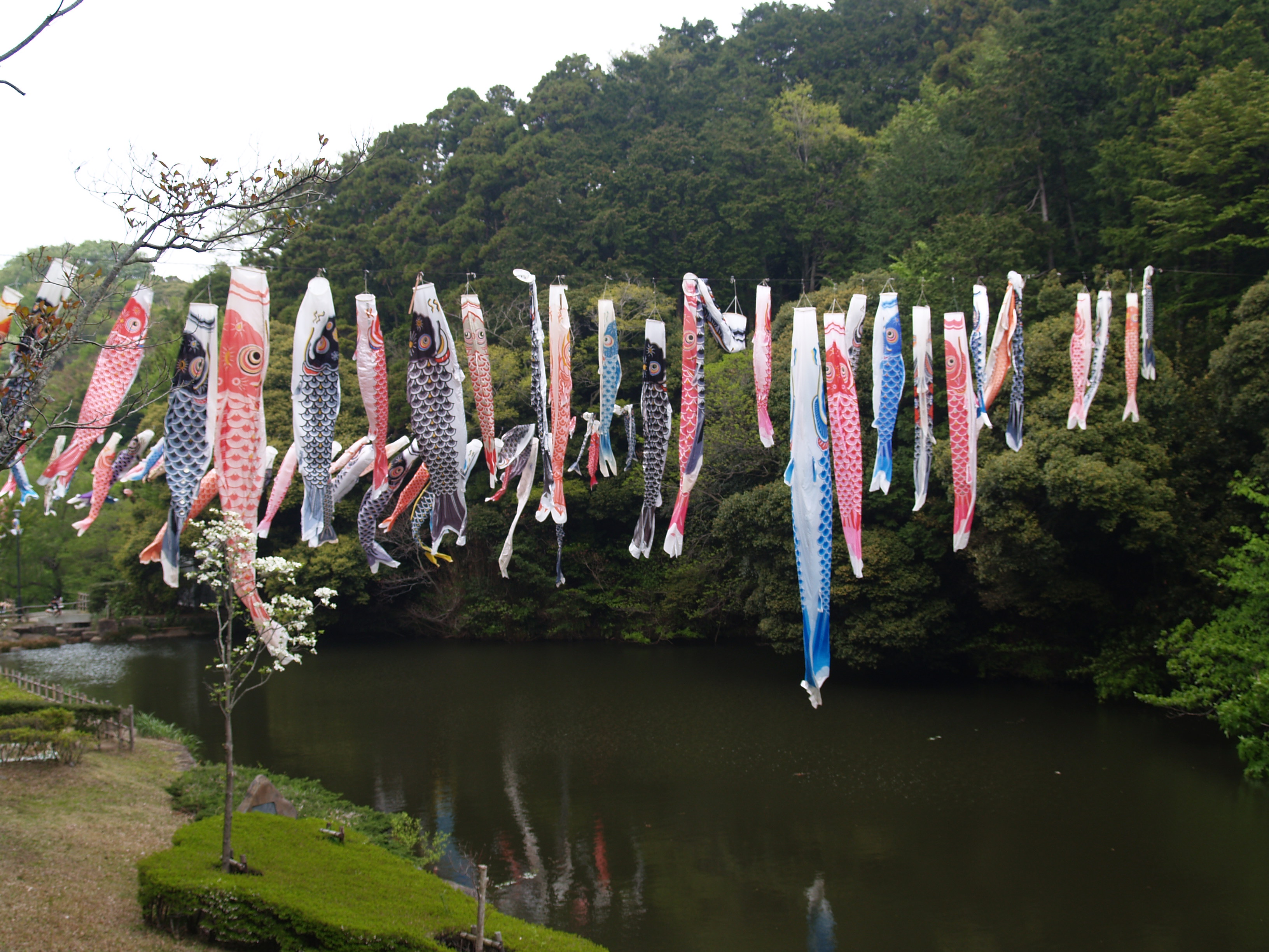 鎌倉中央公園 鎌倉 神奈川県 の旅行記 ブログ By ドクターキムルさん フォートラベル 鎌倉中央公園 鎌倉 神奈川県 の旅行記 ブログ By ドクターキムルさん フォートラベル
