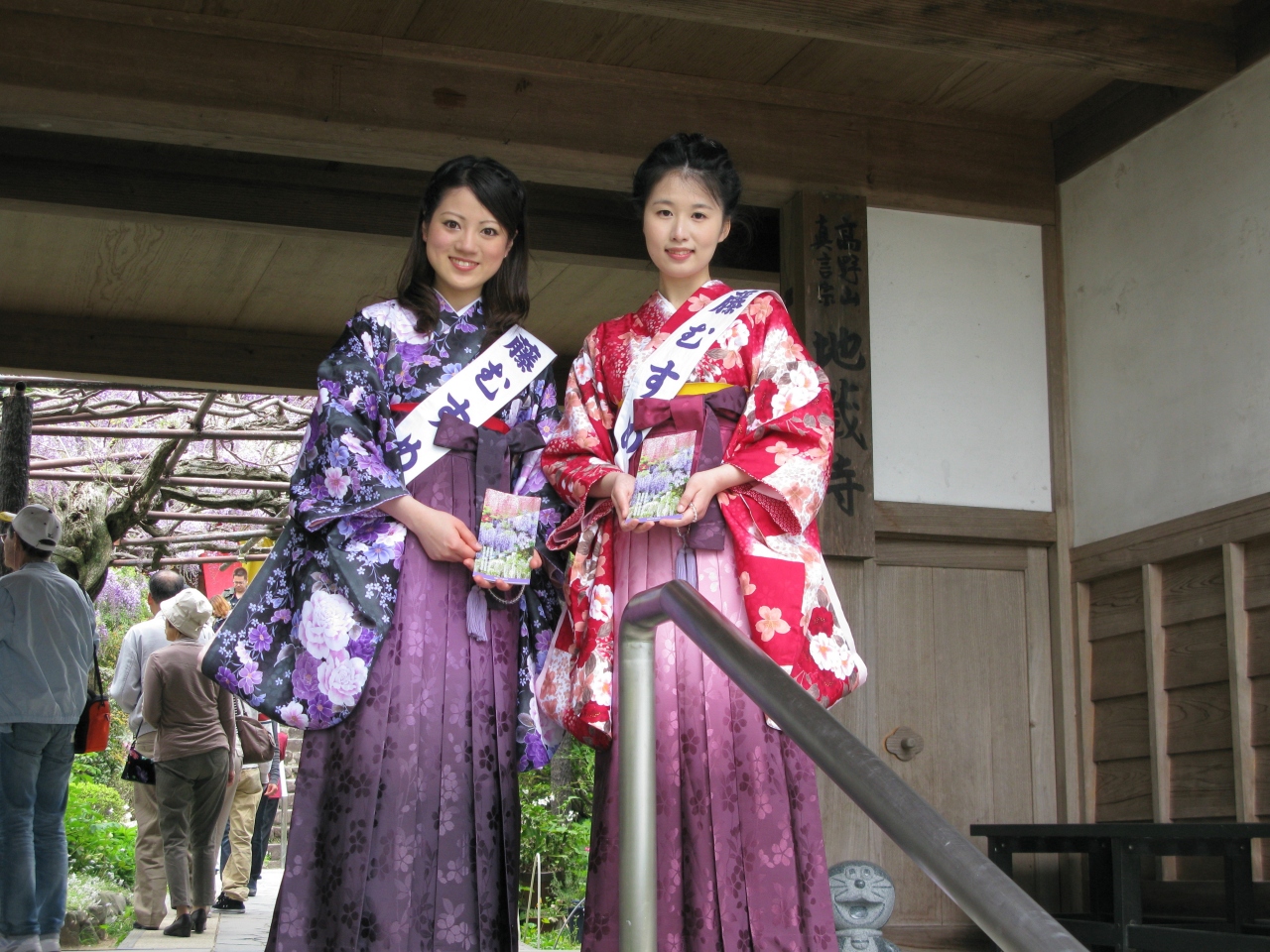 藤の花をもとめて 子安地蔵寺 関西花の寺 和歌山県橋本市 高野山周辺 和歌山県 の旅行記 ブログ By きよさん フォートラベル