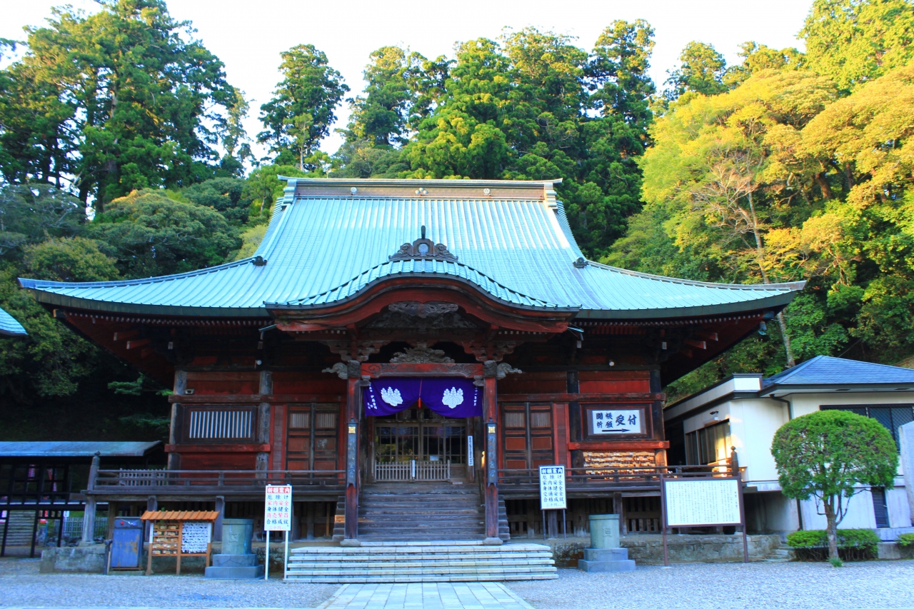 養老渓谷/勝浦/安房鴨川ぐるり旅【10】~静かな境内に響く合唱~モリアオガエルの生息地 清澄寺