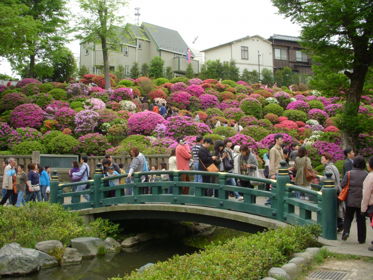 東京都内つつじの名所 三連発 根津神社 谷根千 東京 の旅行記 ブログ By Pierさん フォートラベル