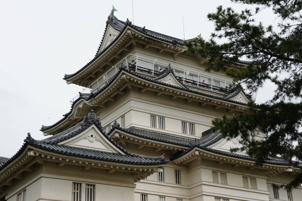 河口湖 箱根 小田原にて はな 花 華 満開 小田原編 小田原城 藤 北条5代祭り だるま料理店で天ぷらを食す ういろうの歴史を学ぶ 小田原 神奈川県 の旅行記 ブログ By はな さん フォートラベル