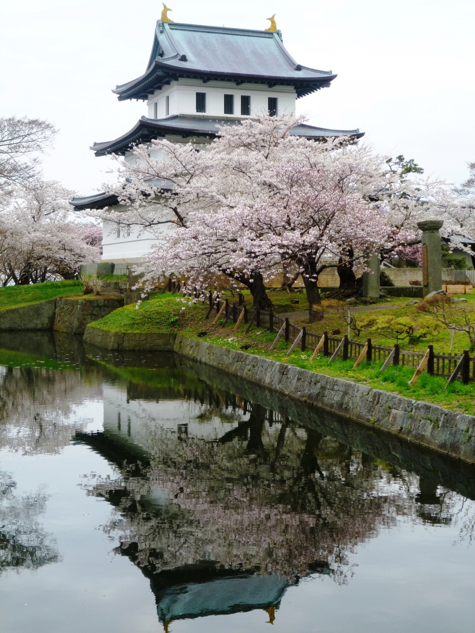 11 5 松前桜祭り11 松前半島 北海道 の旅行記 ブログ By ゆんこさん フォートラベル 11 5 松前桜祭り11 松前半島 北海道 の旅行記 ブログ By ゆんこさん フォートラベル