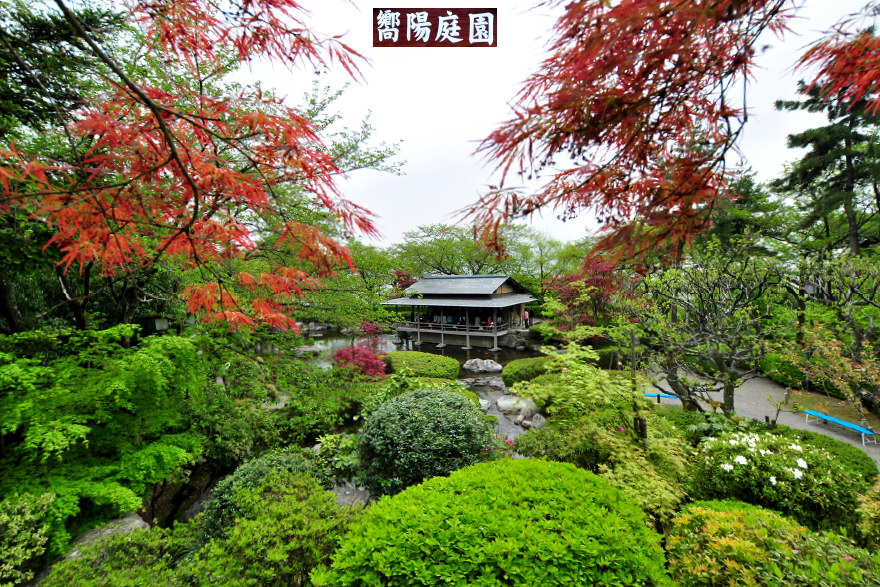 第51回 さばえつつじまつり 武生 鯖江 福井県 の旅行記 ブログ By 風に吹かれて旅人さん フォートラベル