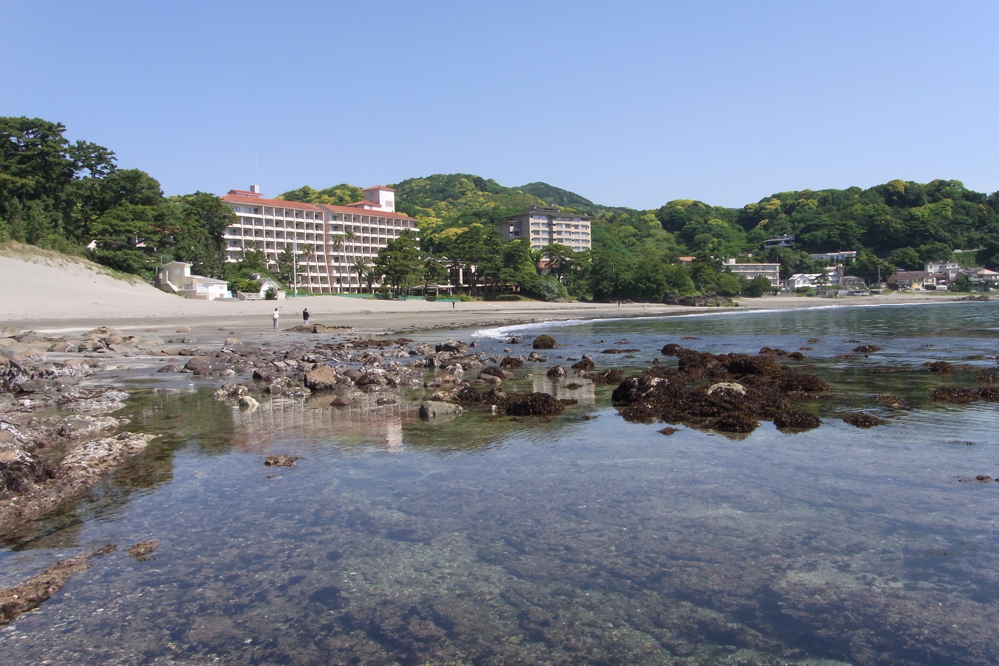 今井浜海岸の磯遊びと幕末の舞台下田散策 河津温泉郷 今井浜 静岡県 の旅行記 ブログ By Morino296さん フォートラベル