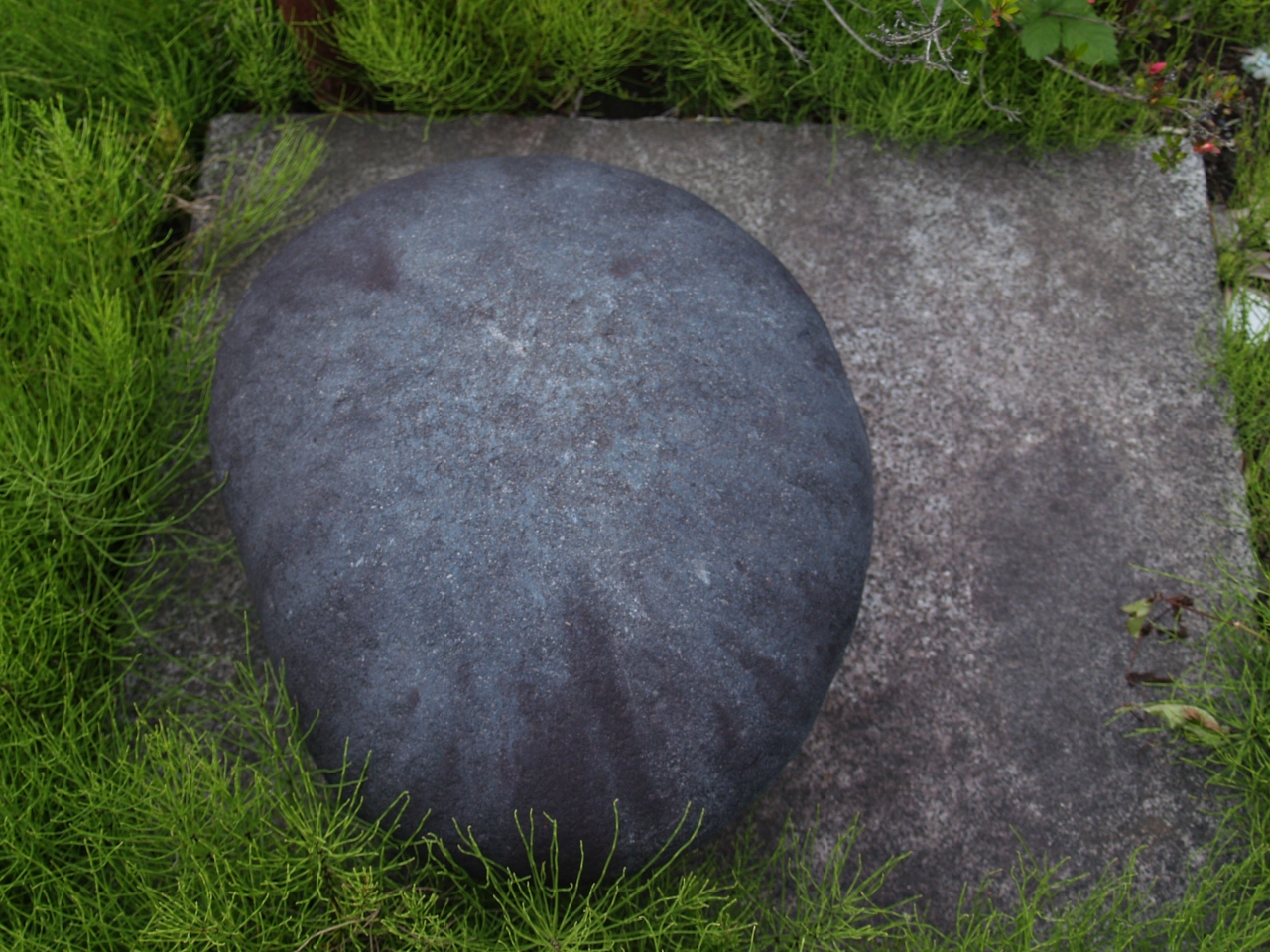 貴重な今金赤溜まり石