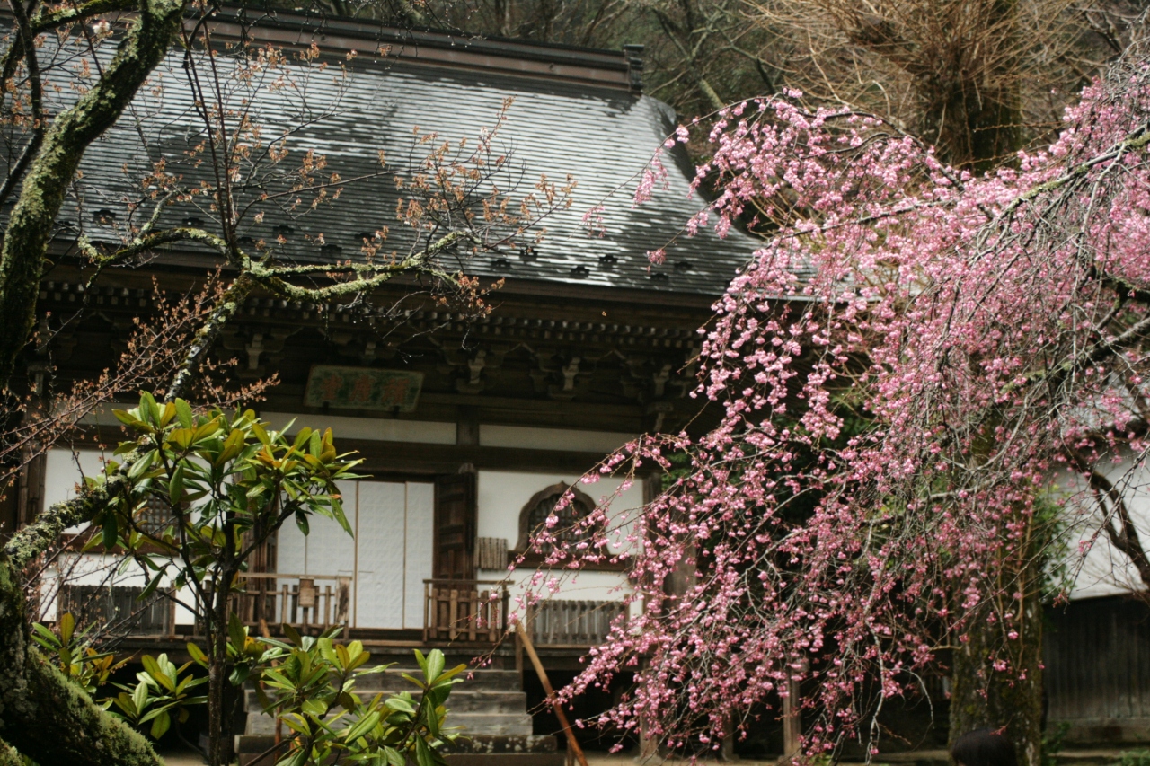 古都奈良の桜を楽しむ車中泊の旅 前編 室生 宇陀 奈良県 の旅行記 ブログ By Annakさん フォートラベル
