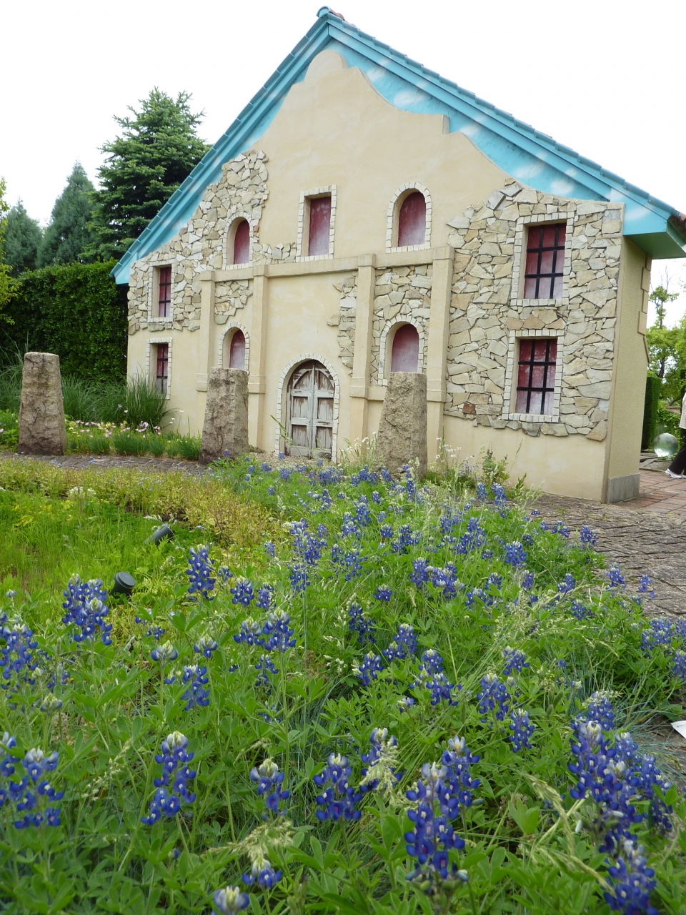 ブルーボネット ワイルドフラワーガーデンで花遊び 名古屋港 愛知県 の旅行記 ブログ By みちるさん フォートラベル