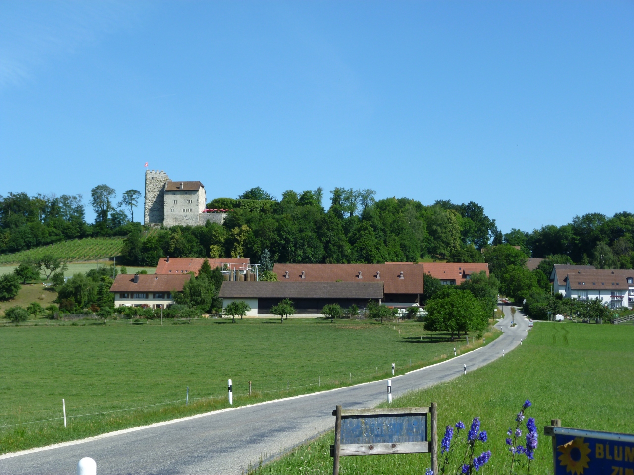 ハプスブルク王朝発祥の地 Habsburg その他の観光地 スイス の旅行記 ブログ By クロパンさん フォートラベル