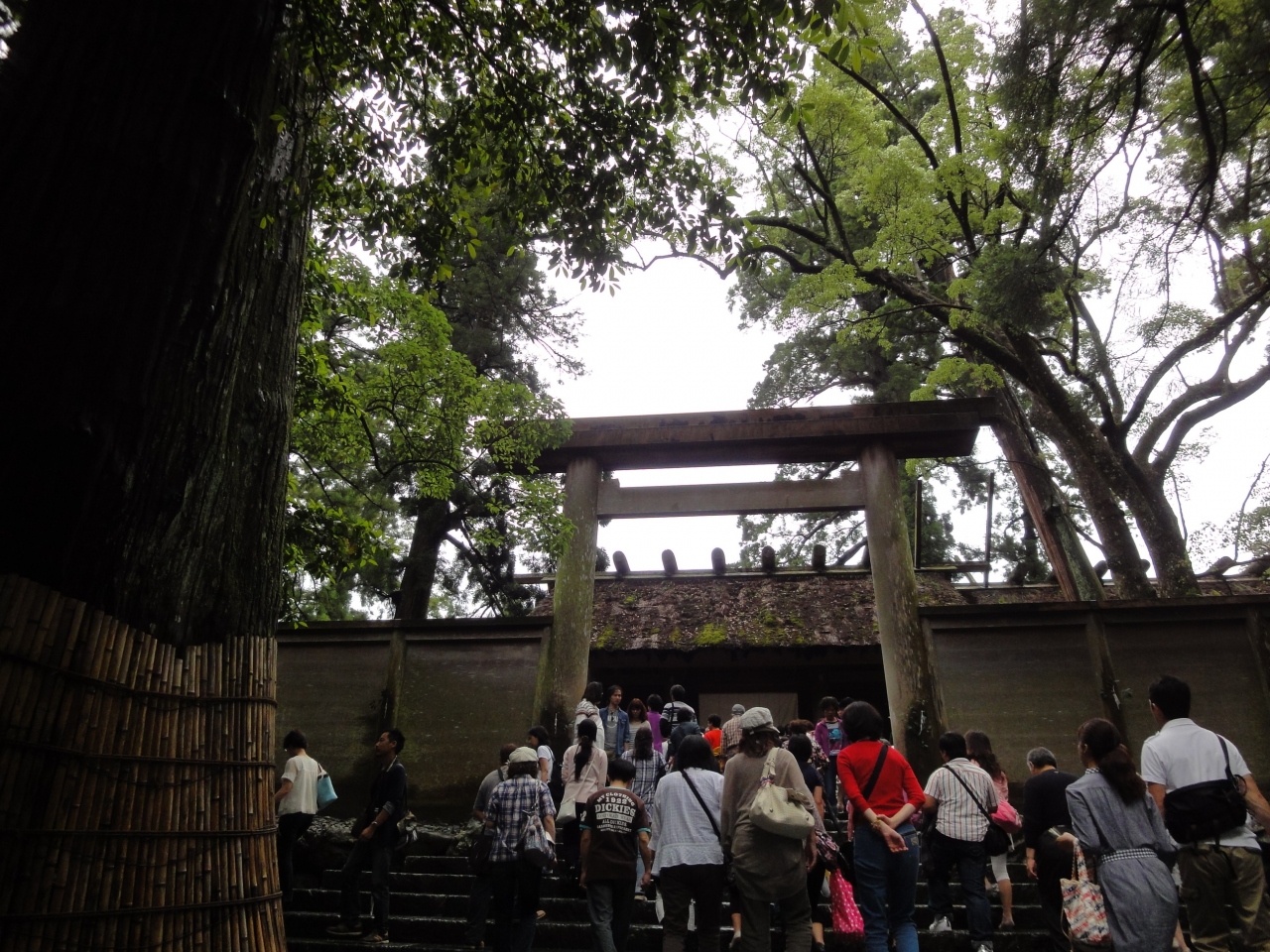 11 伊勢 鳥羽 梅雨の旅 伊勢神宮 三重県 の旅行記 ブログ By さよりさん フォートラベル