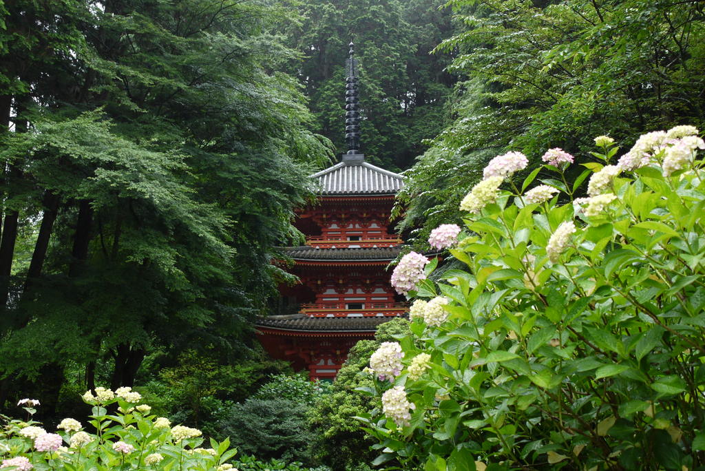 京都と奈良であじさい その１ 岩船寺と浄瑠璃寺 木津 加茂 京都 の旅行記 ブログ By ひらりんさん フォートラベル