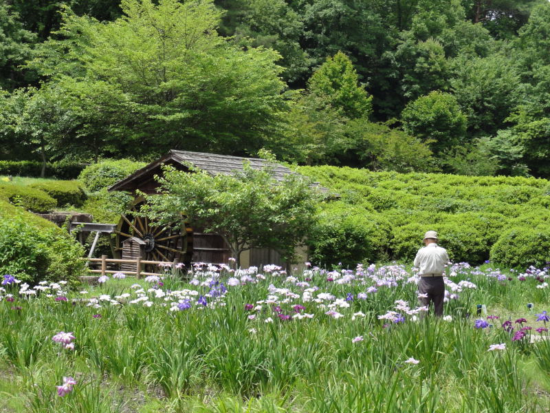 大和民俗公園 大和郡山 田原本 奈良県 の旅行記 ブログ By エトランゼさん フォートラベル
